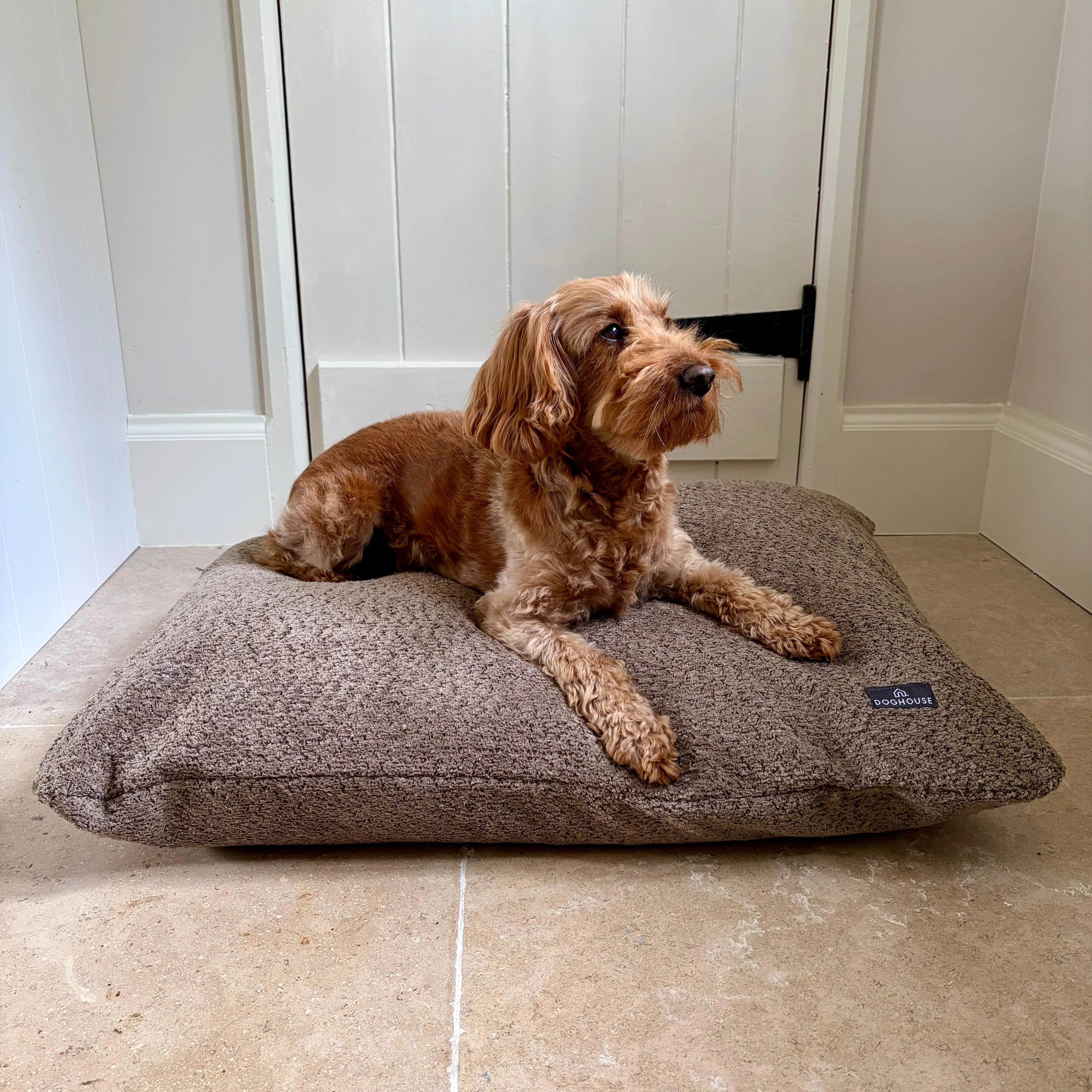Doghouse Chenille Bed Pad for Dogs - Image 10