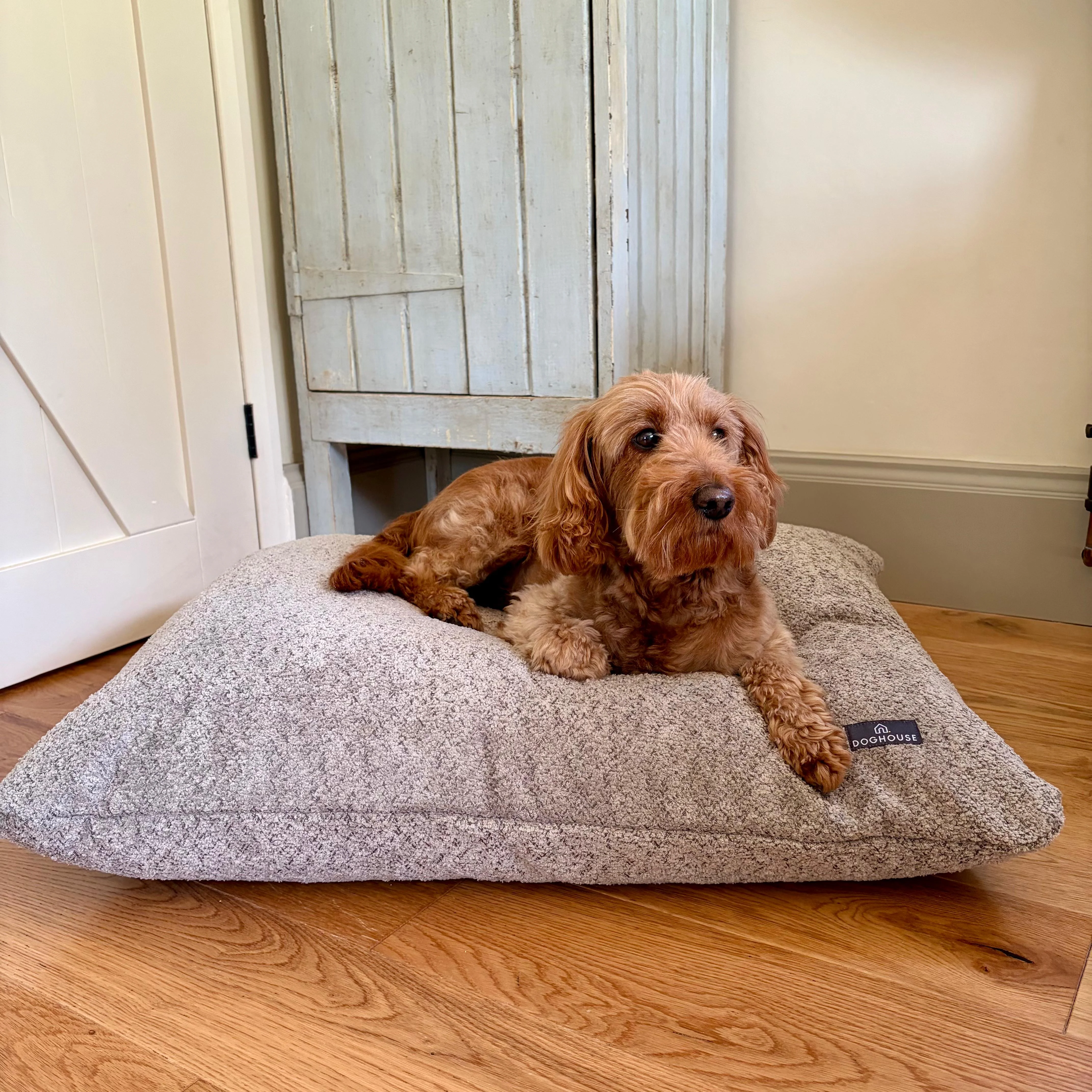 Doghouse Chenille Bed Pad for Dogs - Image 6