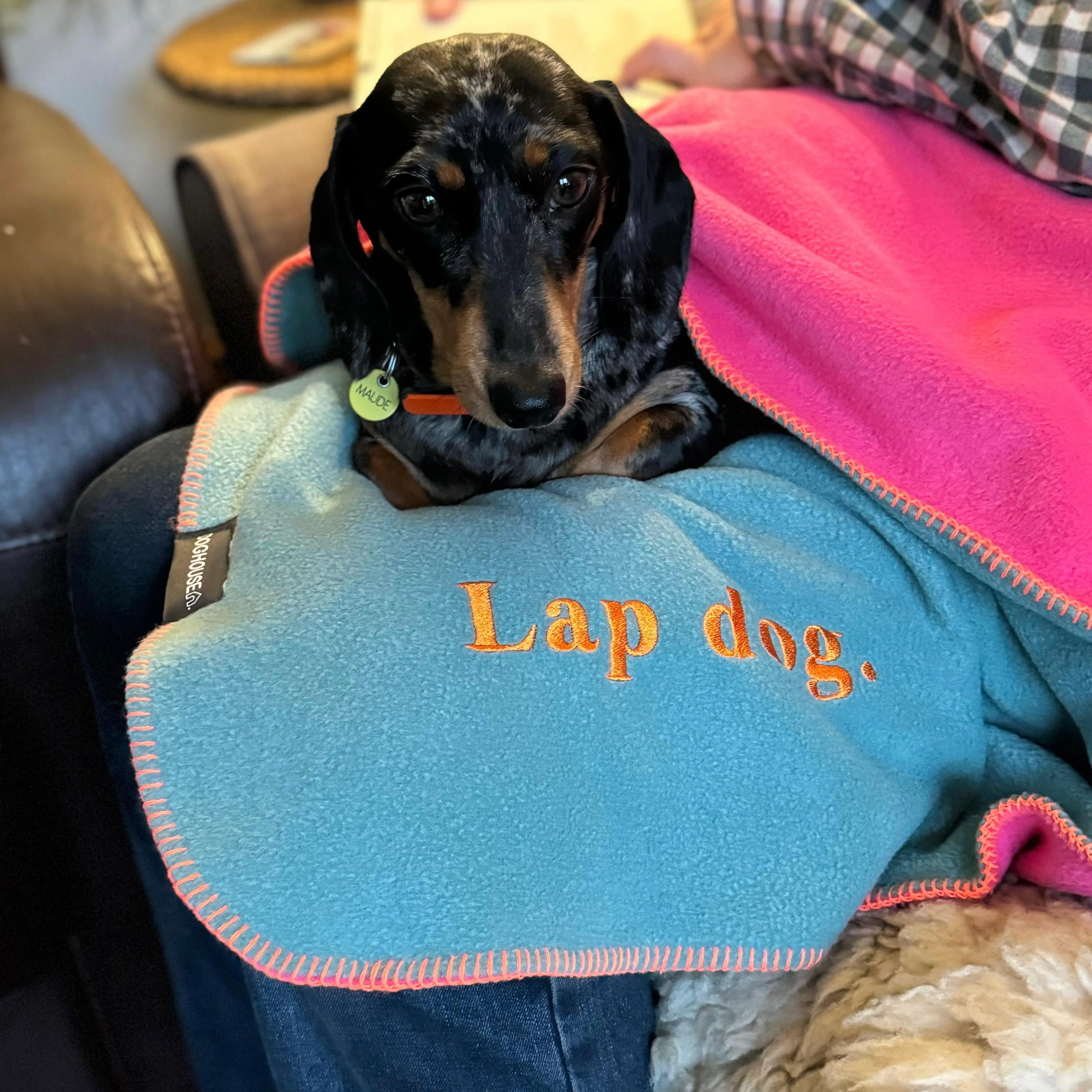 Doghouse Fleece Dog Blanket Statements - Image 3