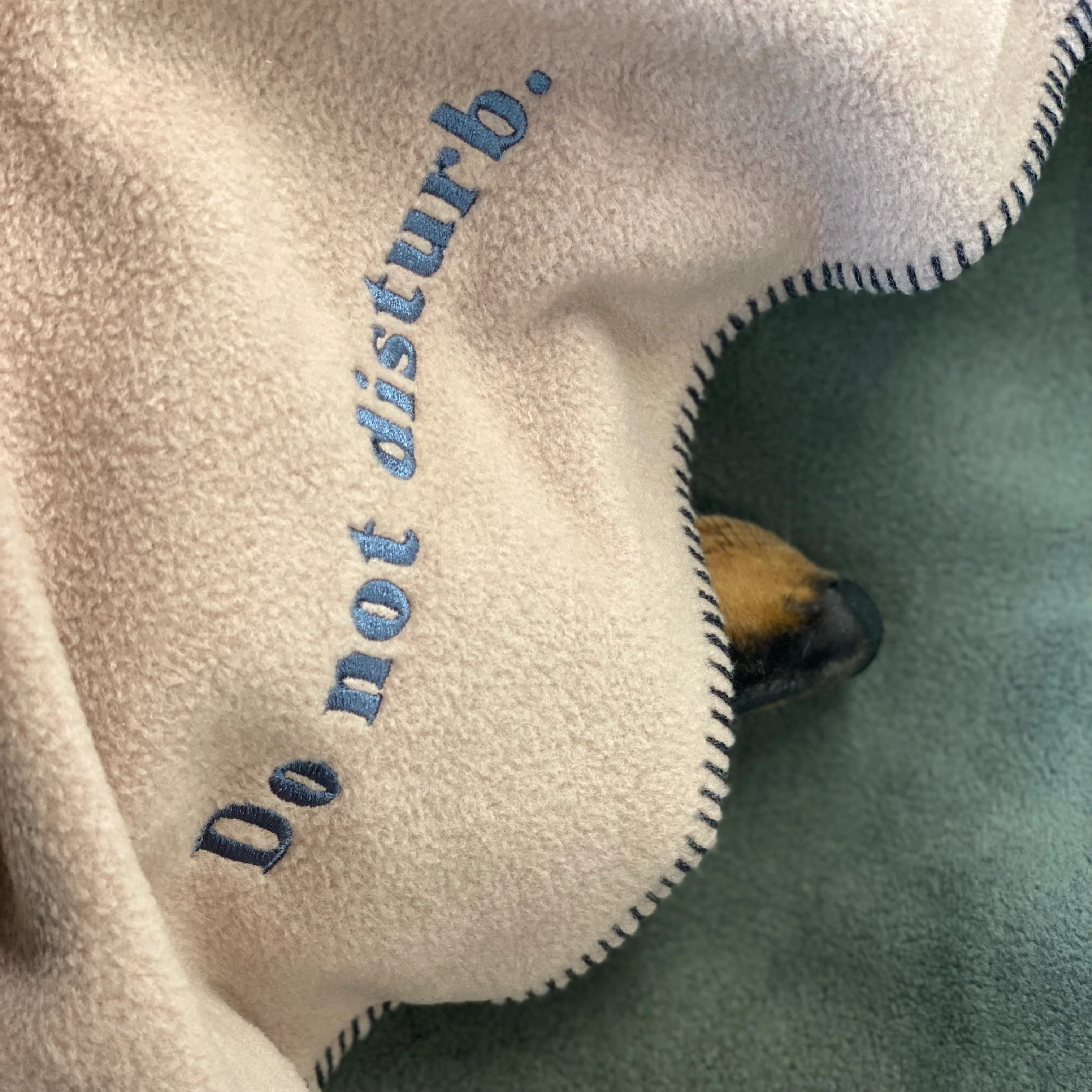 Doghouse Fleece Dog Blanket Statements - Image 5