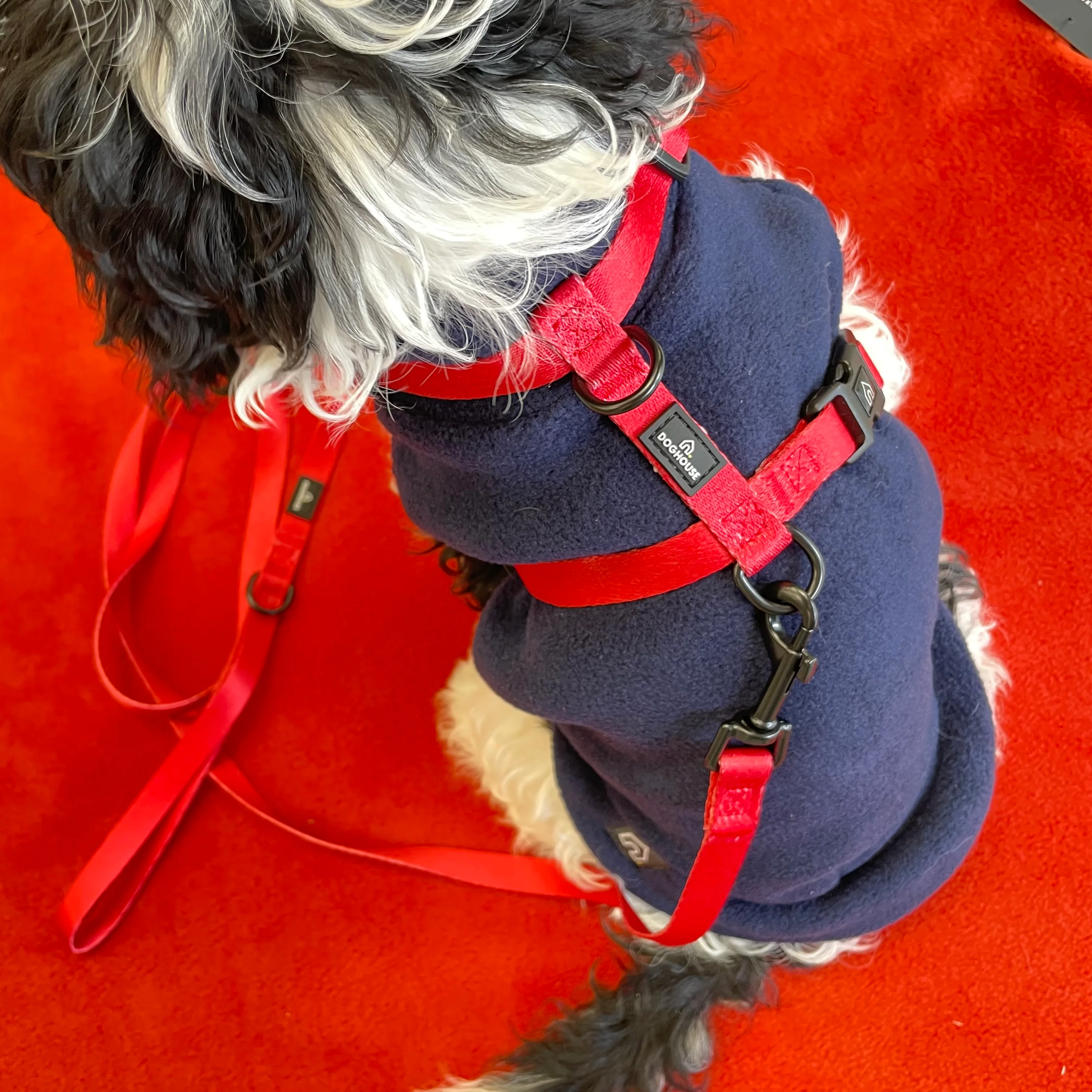 Doghouse Everyday Essential Lead in Red - Image 2