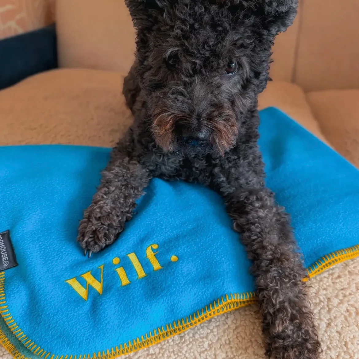 Doghouse Double-Lined Stitch Blankets for Pets - Image 19