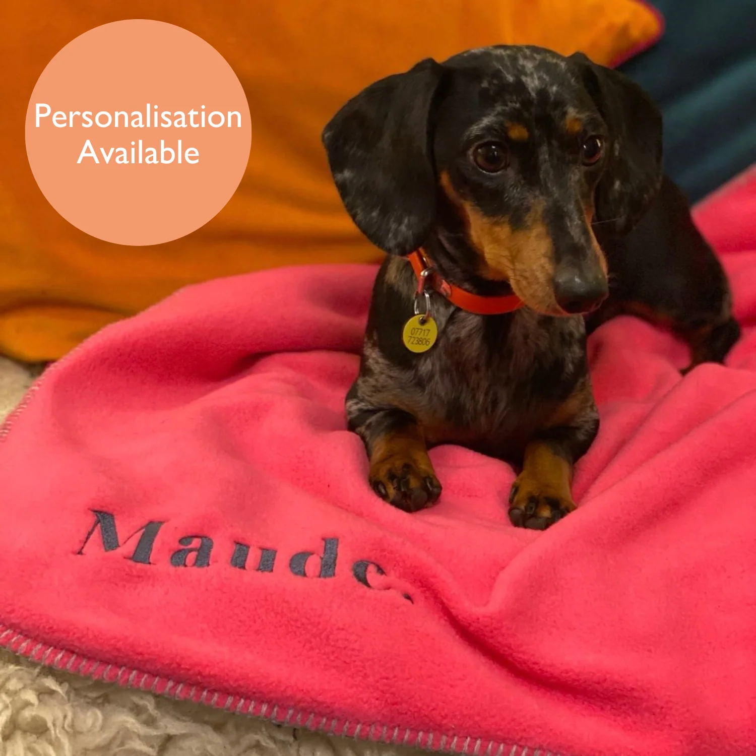 Doghouse Double-Lined Stitch Blankets for Pets - Image 9