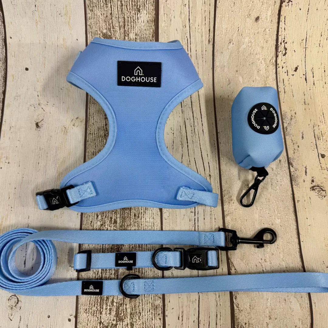 Doghouse Everyday Comfort Dog Collar in Pale Blue - Image 6