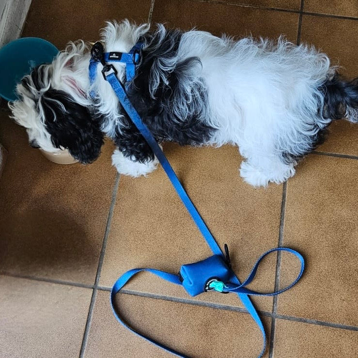 Doghouse Everyday Essential Harness in Navy Blue - Image 3