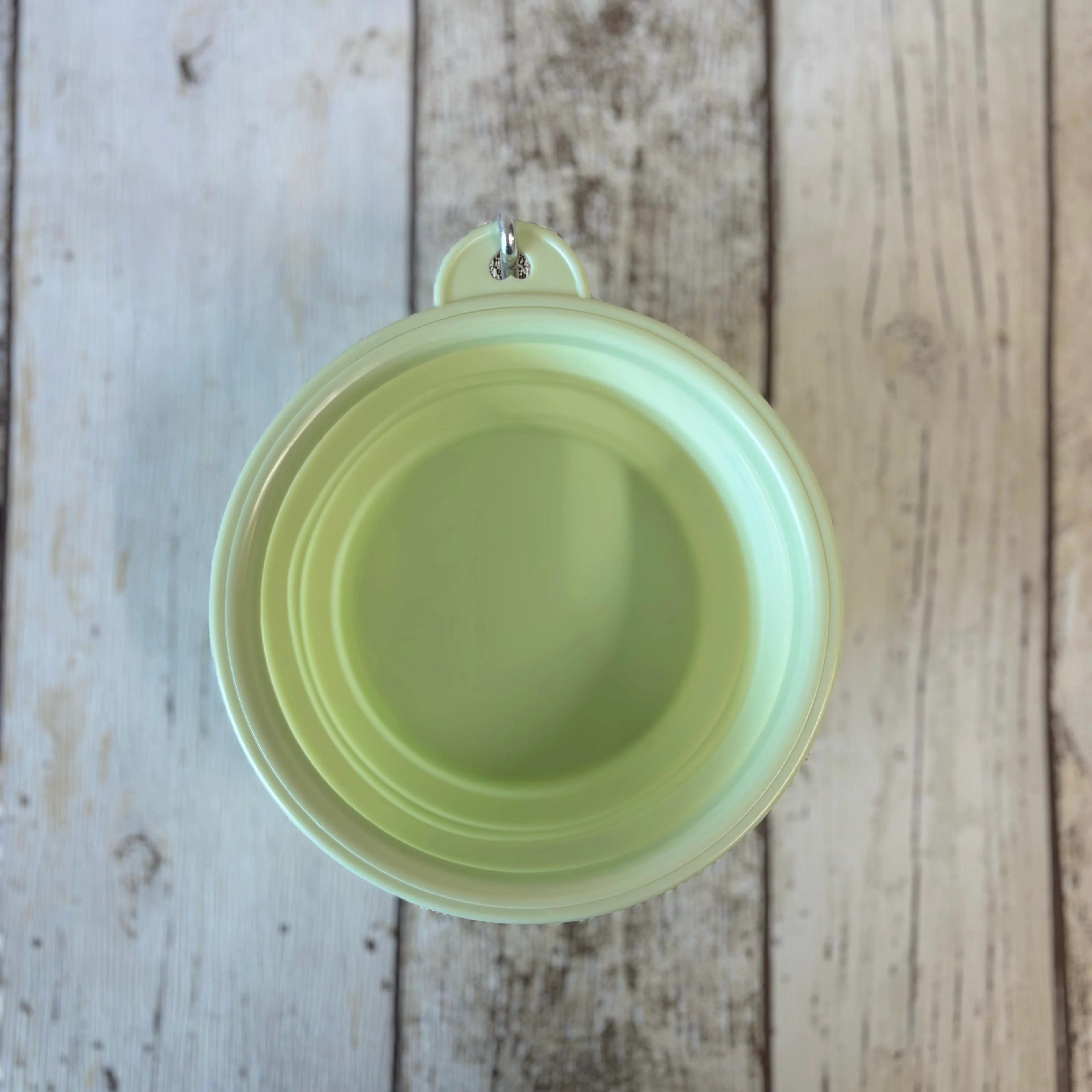 Pastel Collapsible Travel Bowls - Image 4