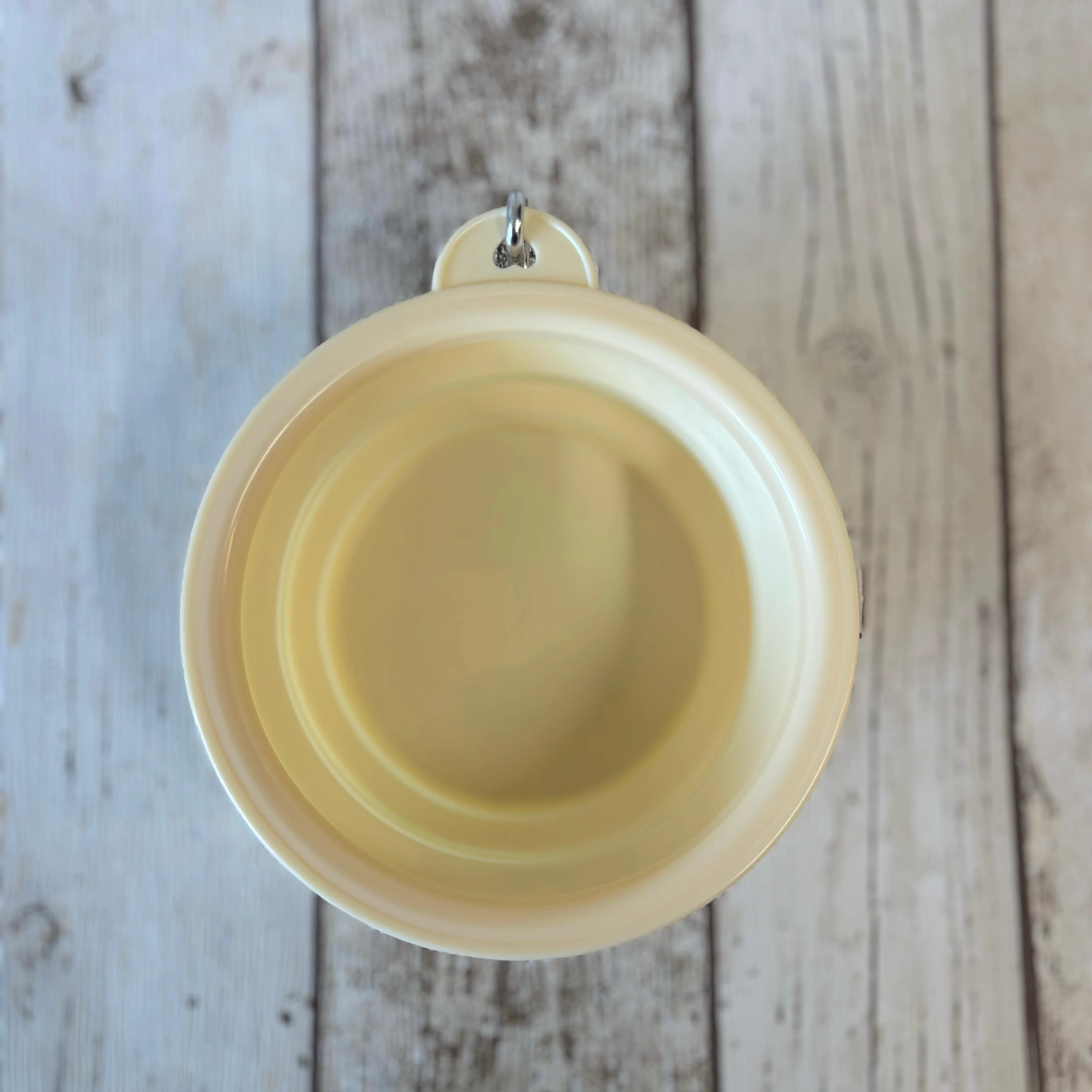Pastel Collapsible Travel Bowls - Image 5