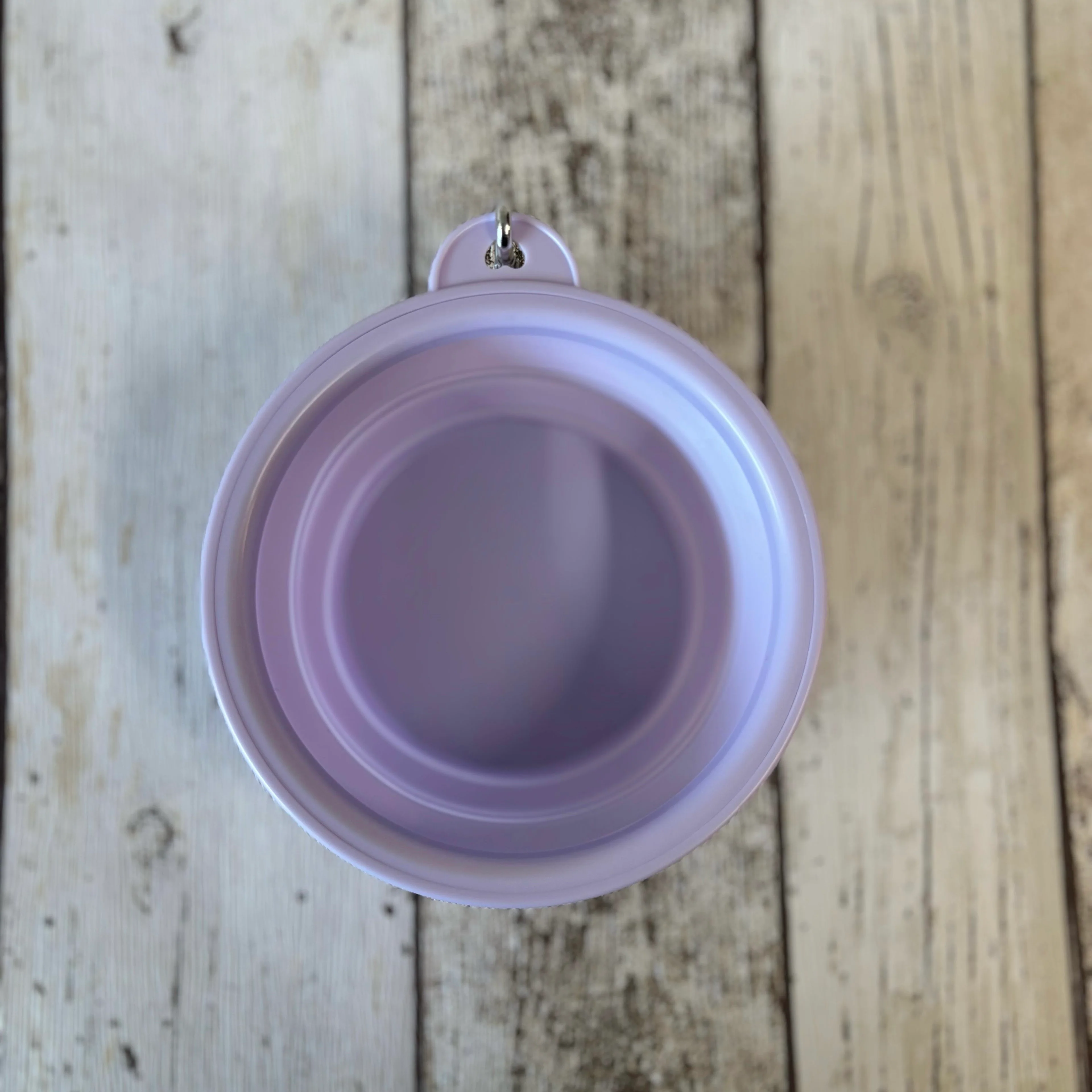 Pastel Collapsible Travel Bowls - Image 6