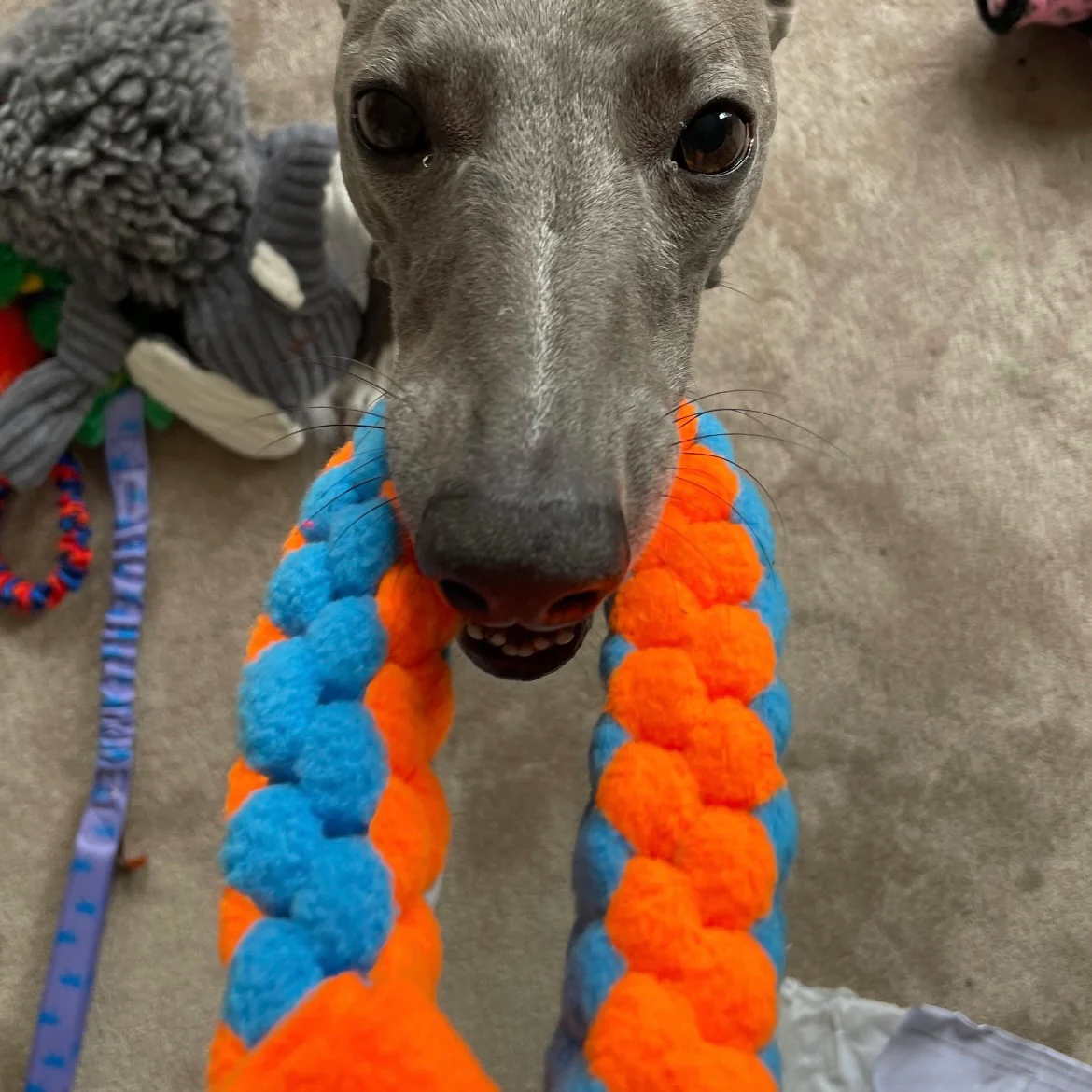Doghouse Play and Tug Fleece Toy - Image 2