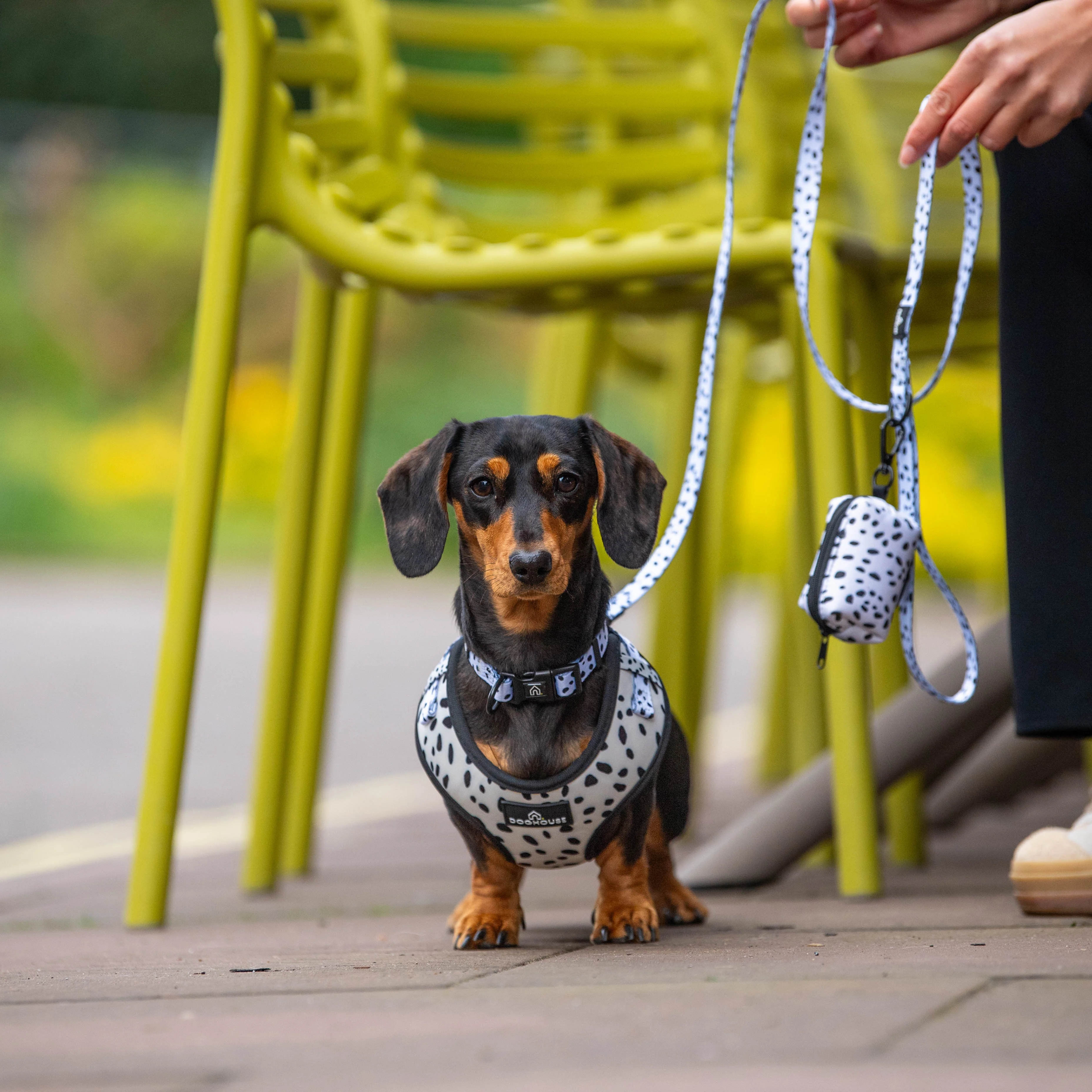 Doghouse Everyday Poop Bag Holders - Image 3