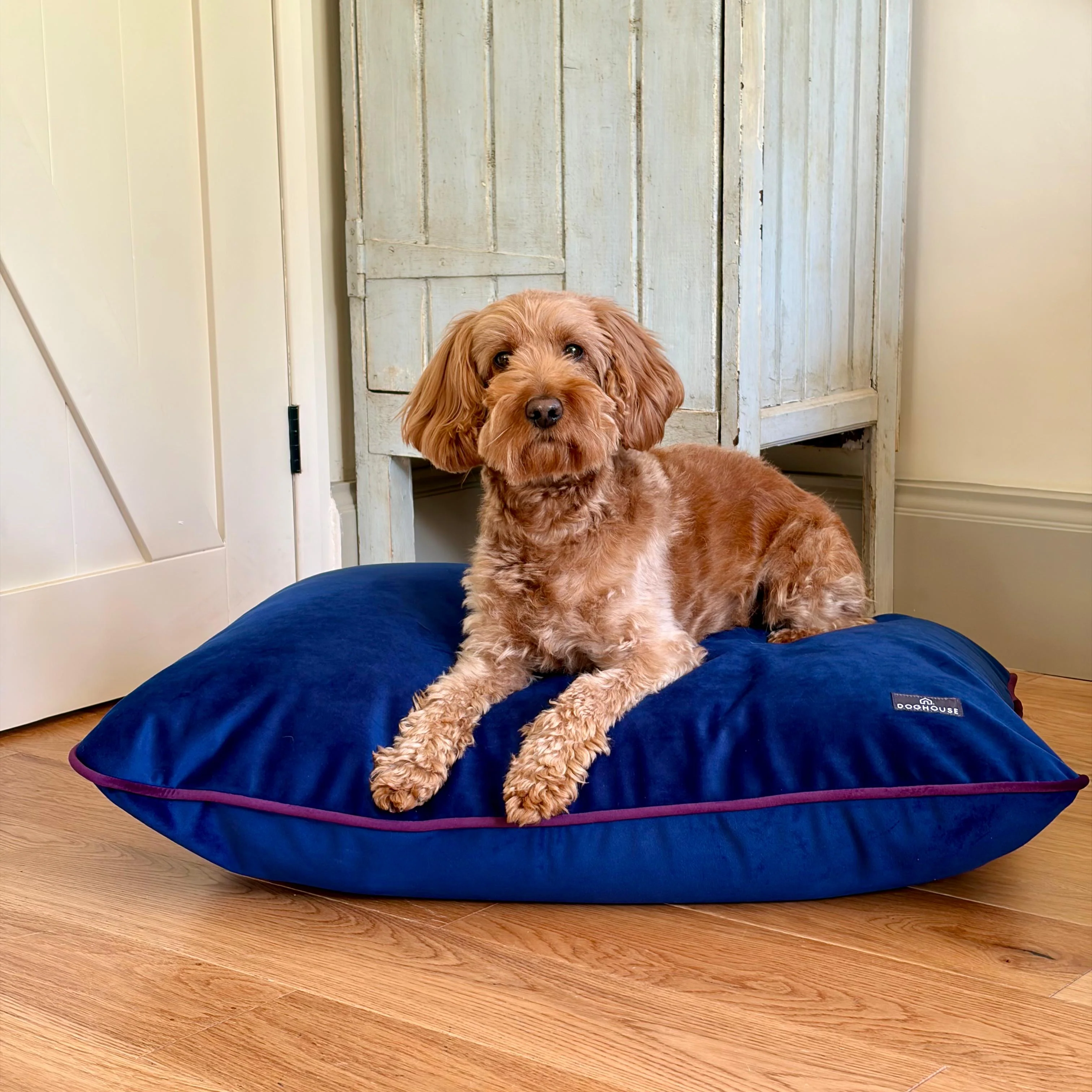 Doghouse Velvet Bed Pad for Dogs - Image 2
