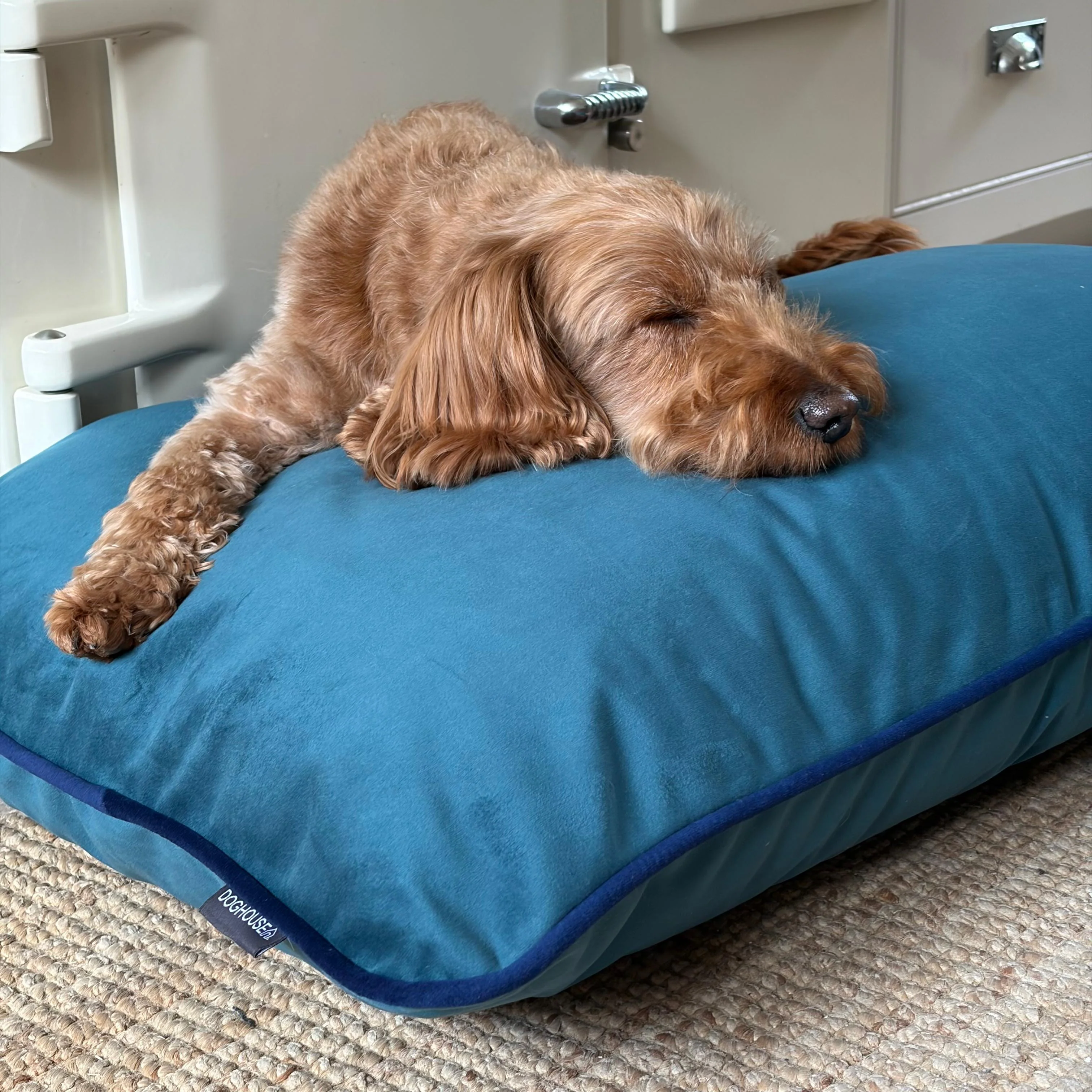 Doghouse Velvet Bed Pad for Dogs - Image 6