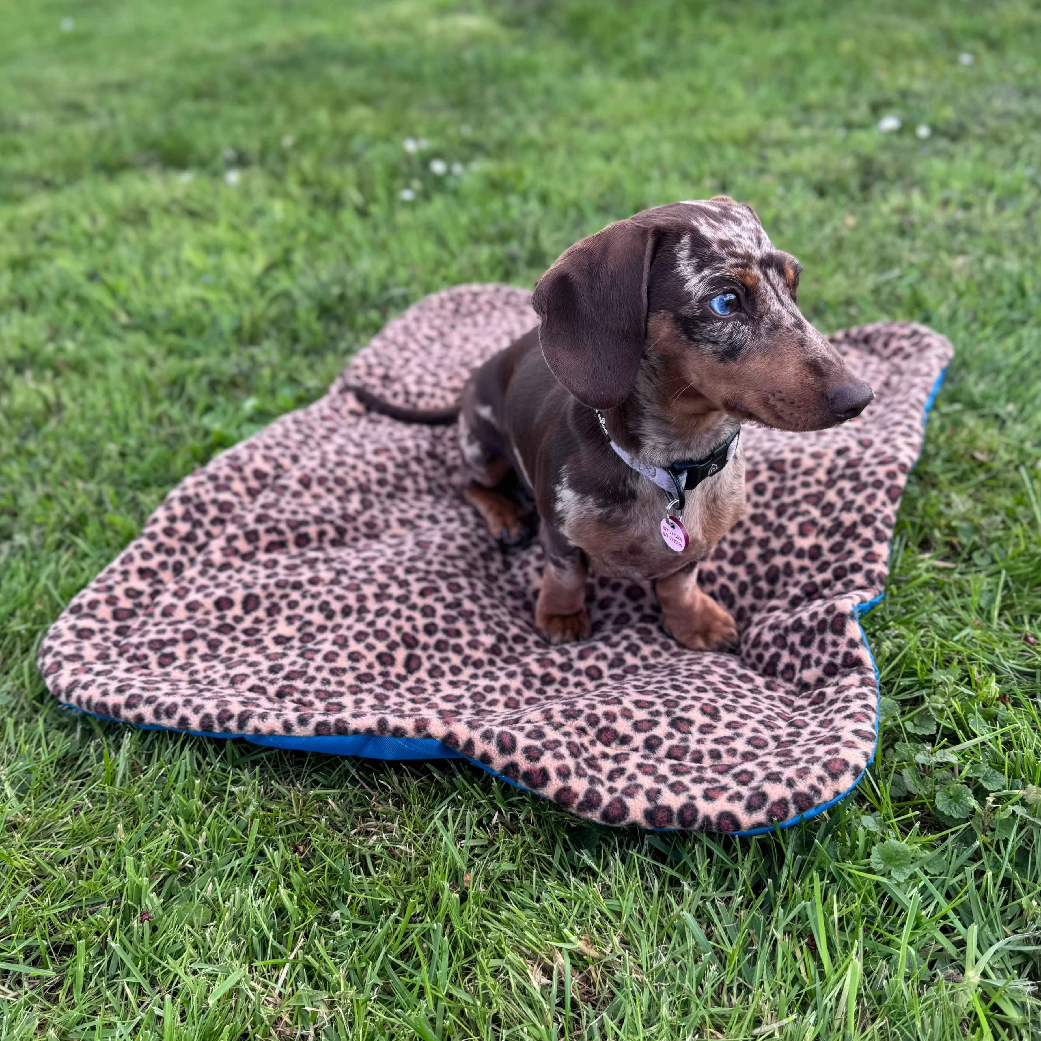 Doghouse Waterproof Pet Settle Mat - Image 10