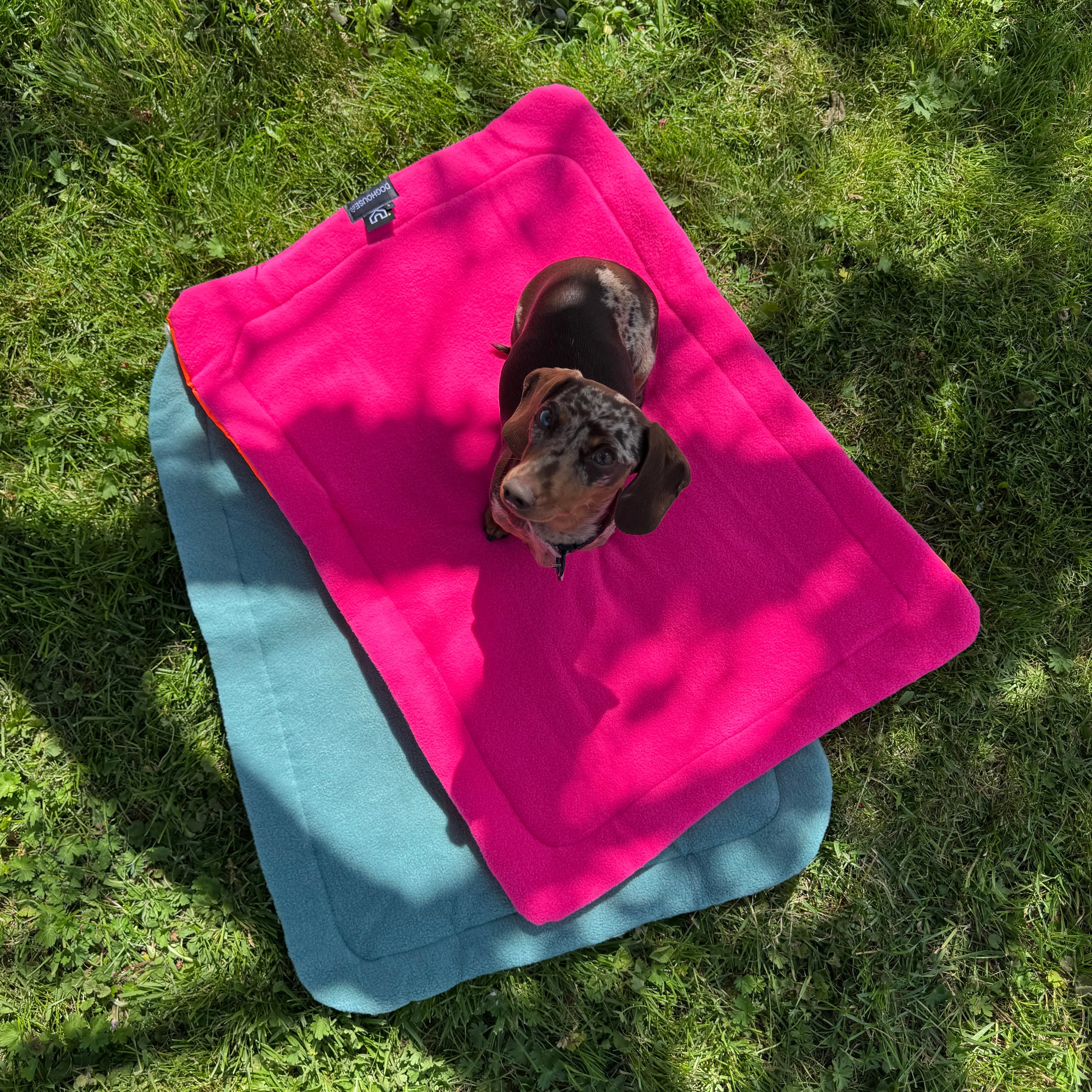 Doghouse Waterproof Pet Settle Mat - Image 3