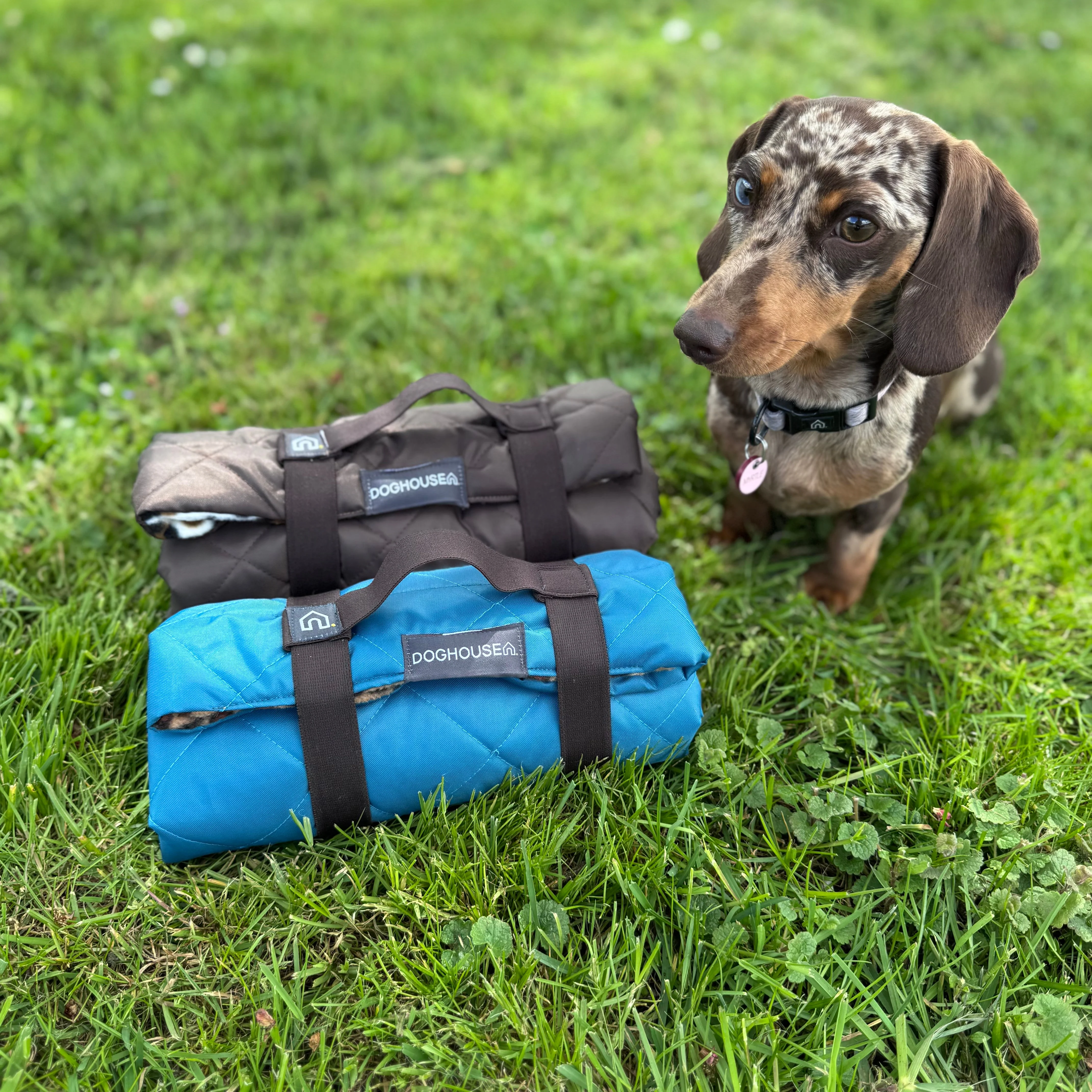 Doghouse Waterproof Pet Settle Mat - Image 4
