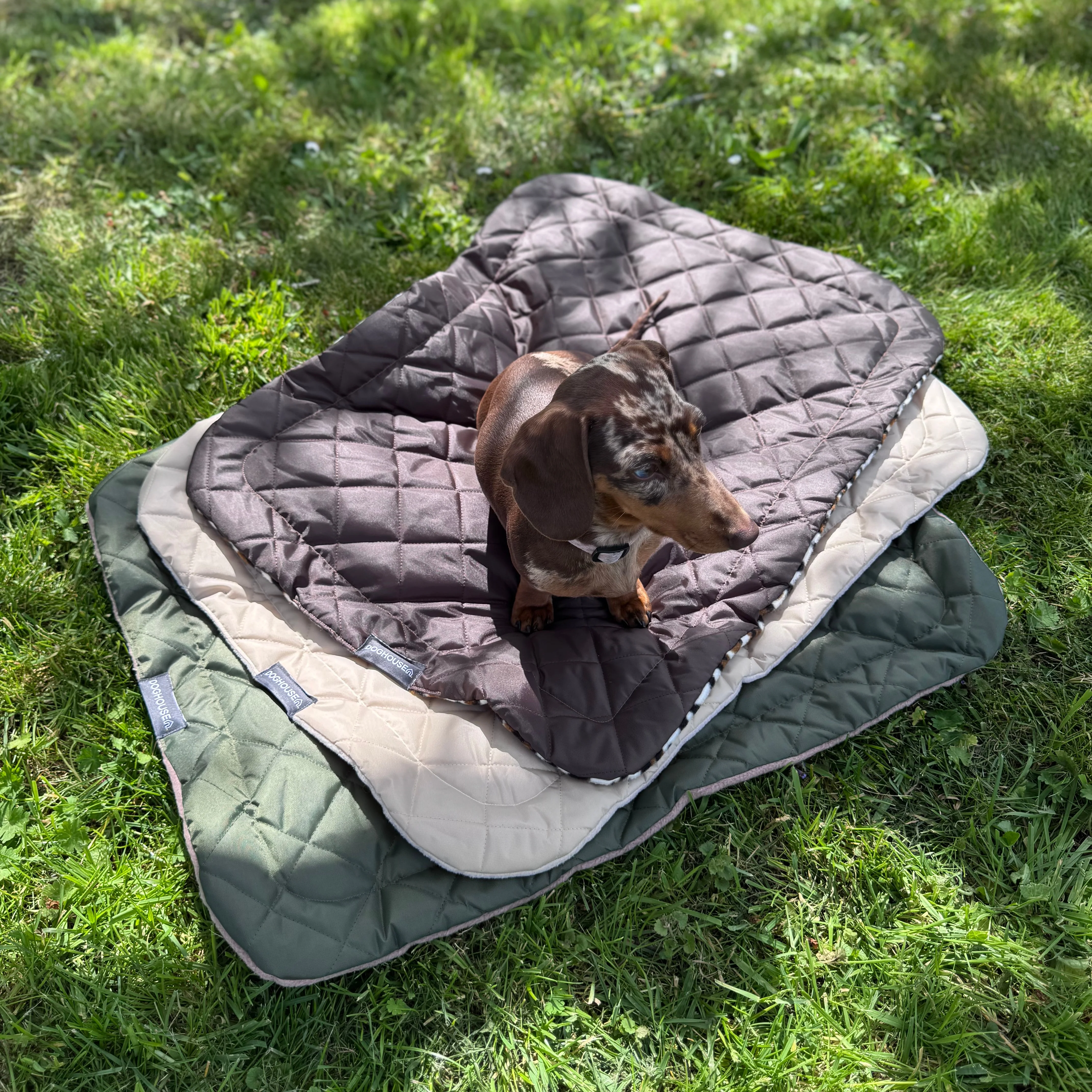 Doghouse Waterproof Pet Settle Mat - Image 9