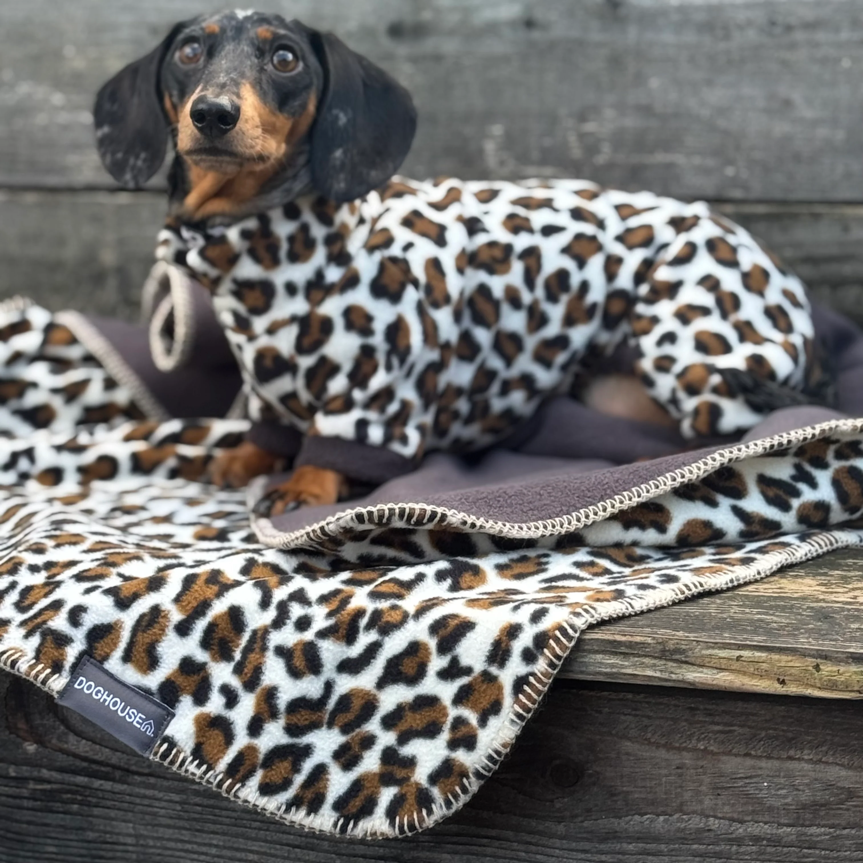 Doghouse Double Wild Blankets for Dogs - Image 2
