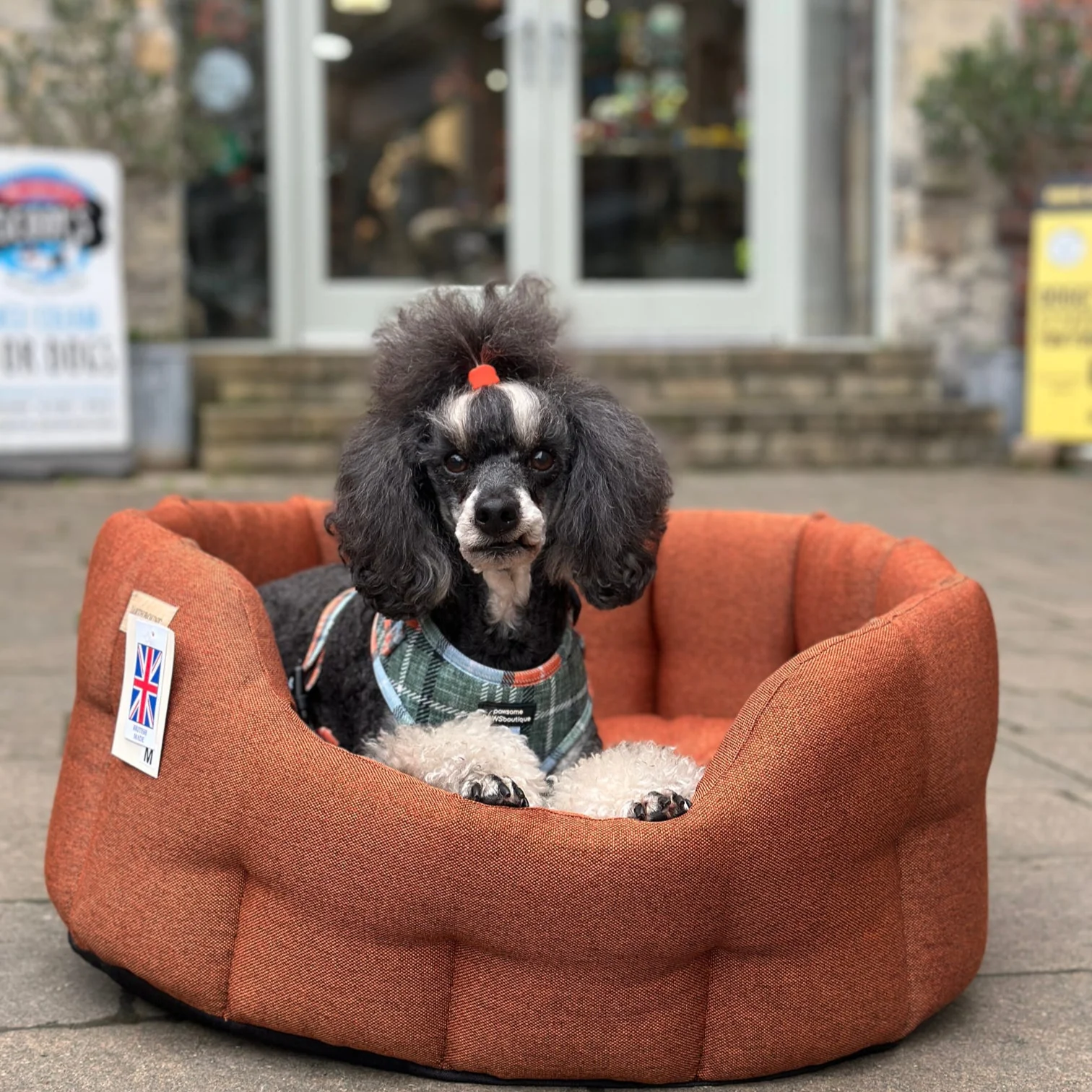 Earthbound Camden Burnt Orange Dog Bed - Image 2