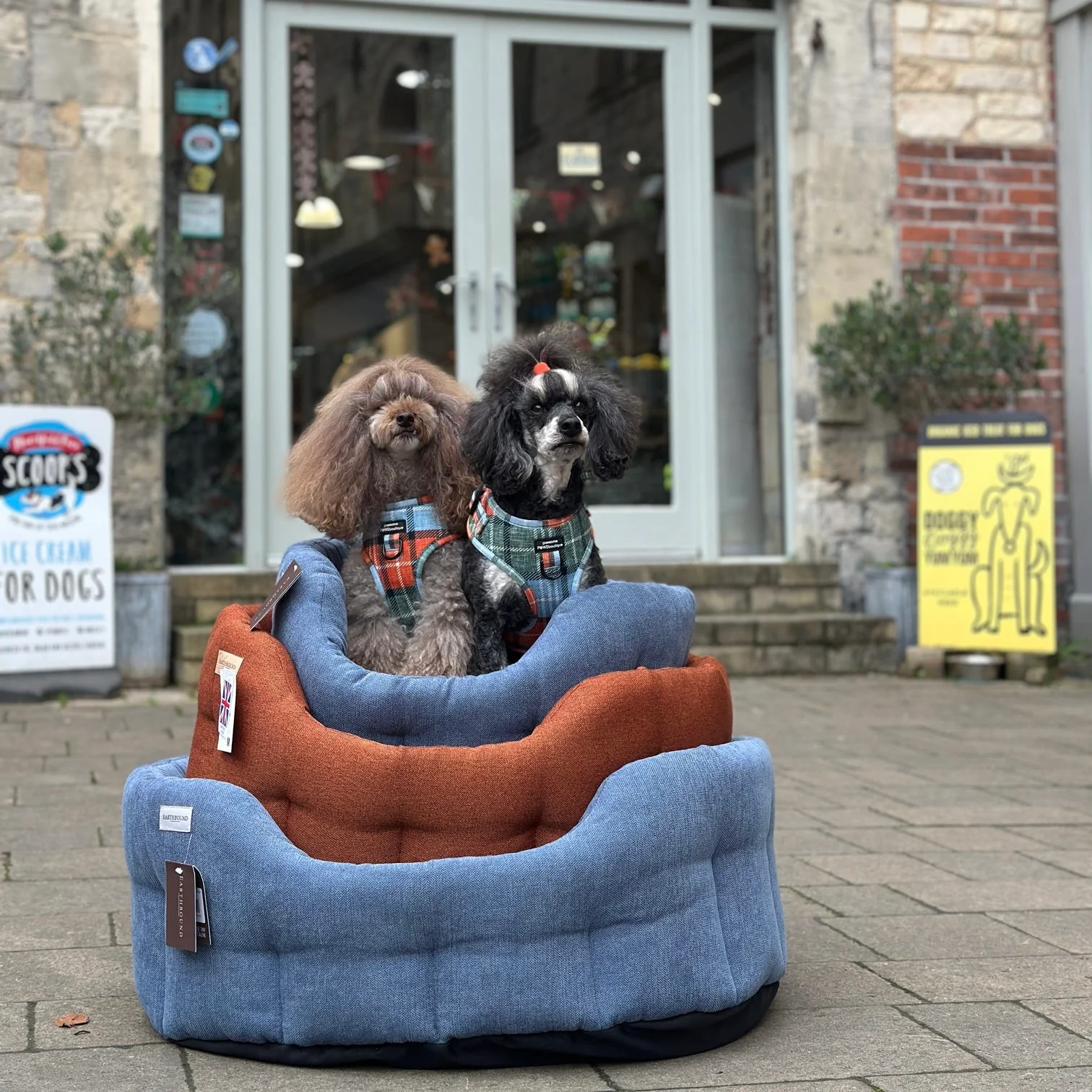 Earthbound Camden Burnt Orange Dog Bed - Image 3