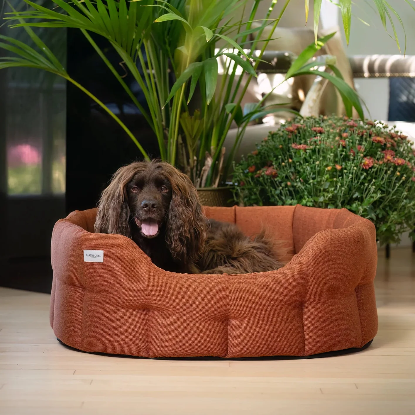 Earthbound Camden Burnt Orange Dog Bed - Image 4