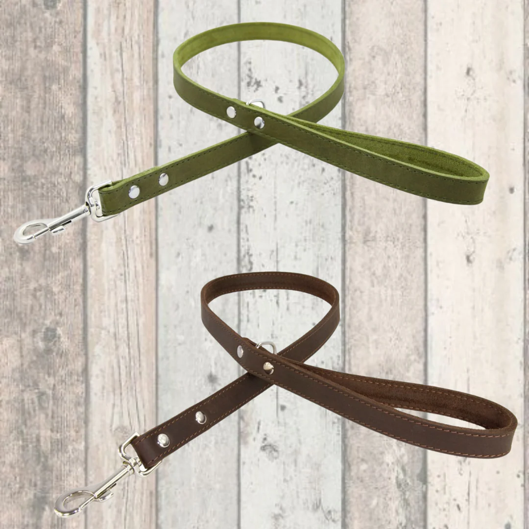 Earthbound Leather Dog Leads