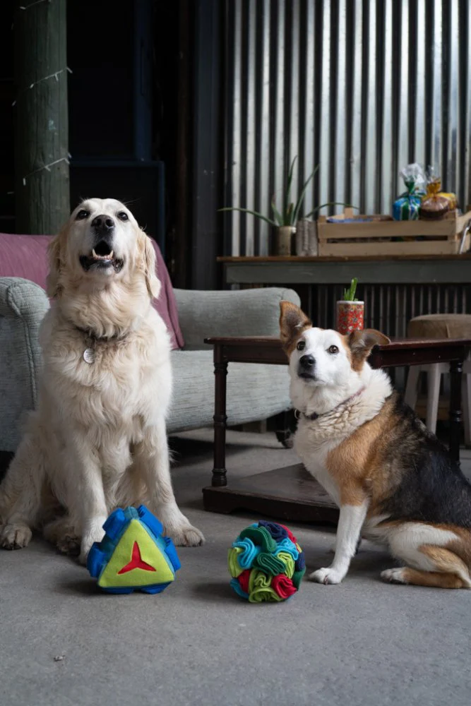 Fabric Snuffle Ball Toy - Image 5