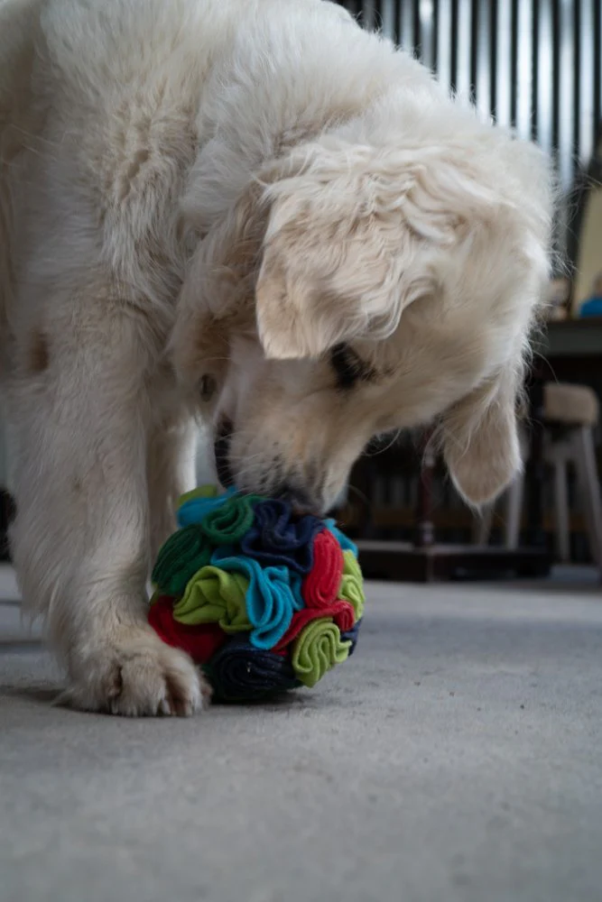 Fabric Snuffle Ball Toy - Image 6