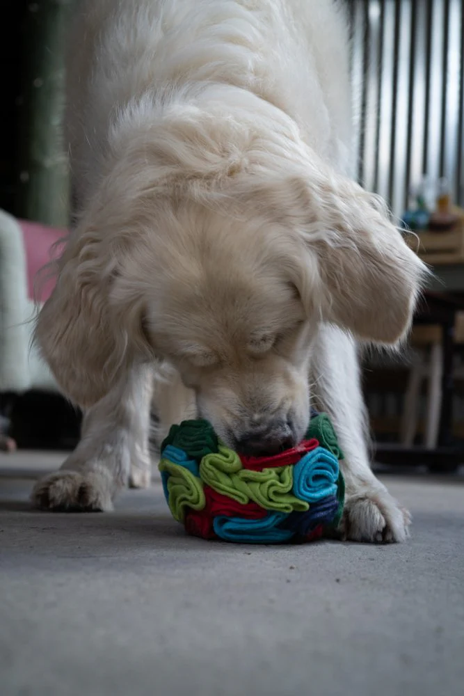 Fabric Snuffle Ball Toy - Image 7