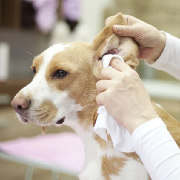 Finger Ear Cleaning Pads - Image 5
