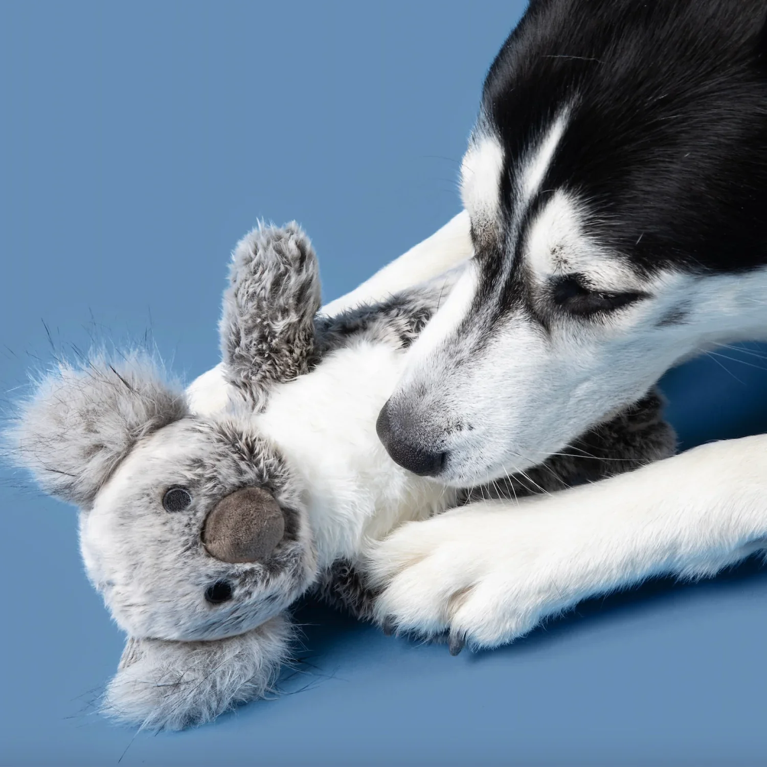 Fluff & Tuff Doc Koala - Image 3