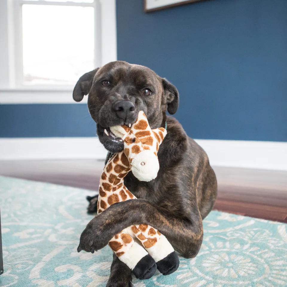 Fluff & Tuff Exotic Nelly Giraffe - Image 3