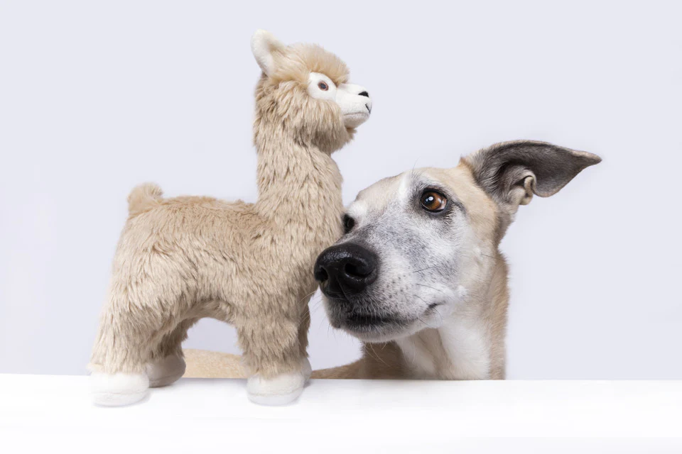 Fluff & Tuff Inca Alpaca - Image 5