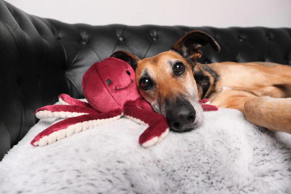 Fluff & Tuff Olympia Octopus - Image 4