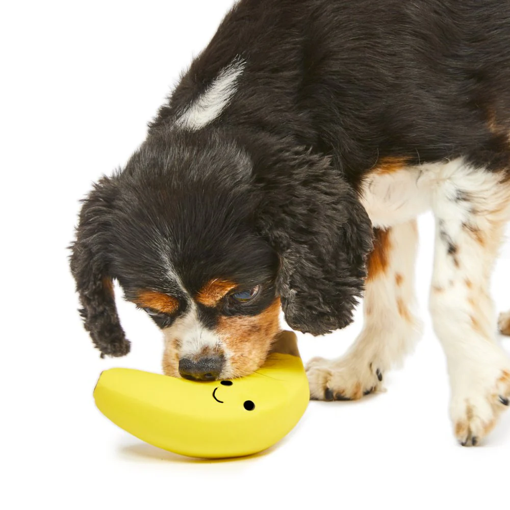 Foodie Faces Latex Banana Dog Toy - Image 3