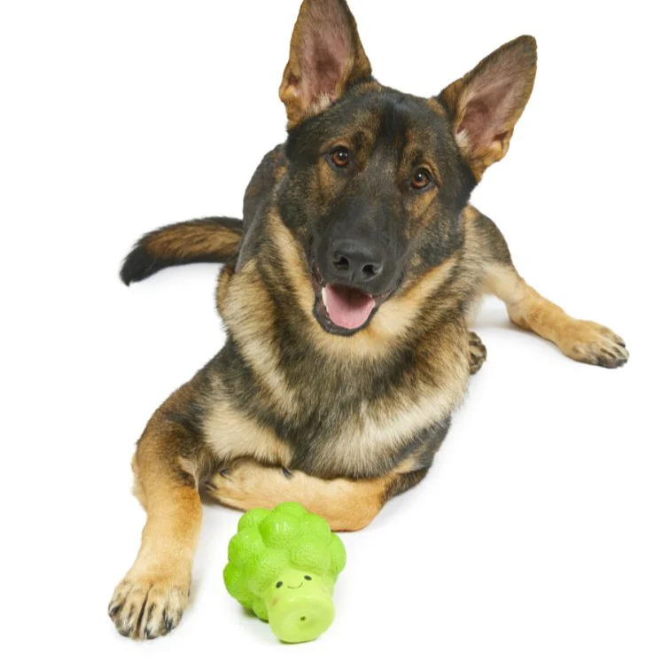 Foodie Faces Latex Broccoli Dog Toy - Image 5