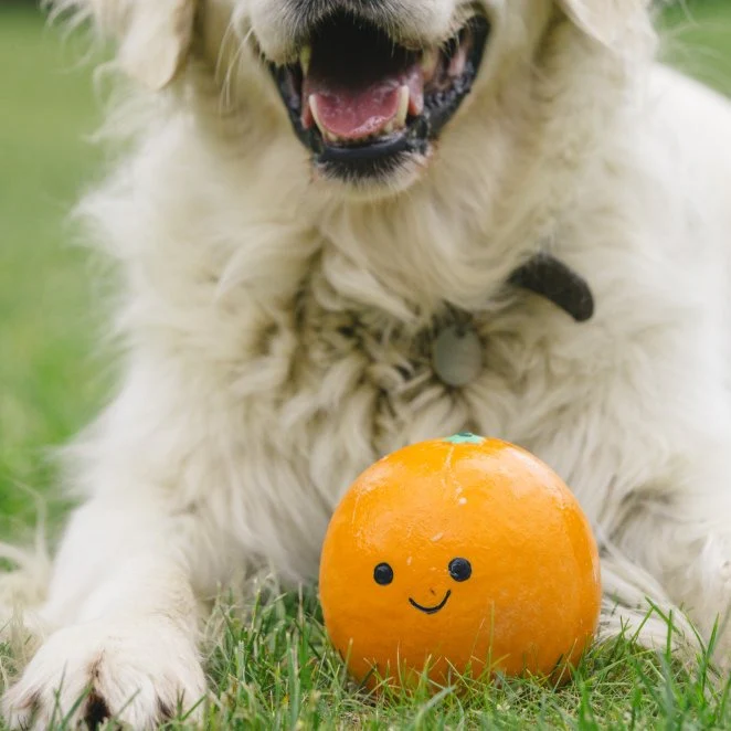 Foodie Faces Latex Orange Dog Toy - Image 3