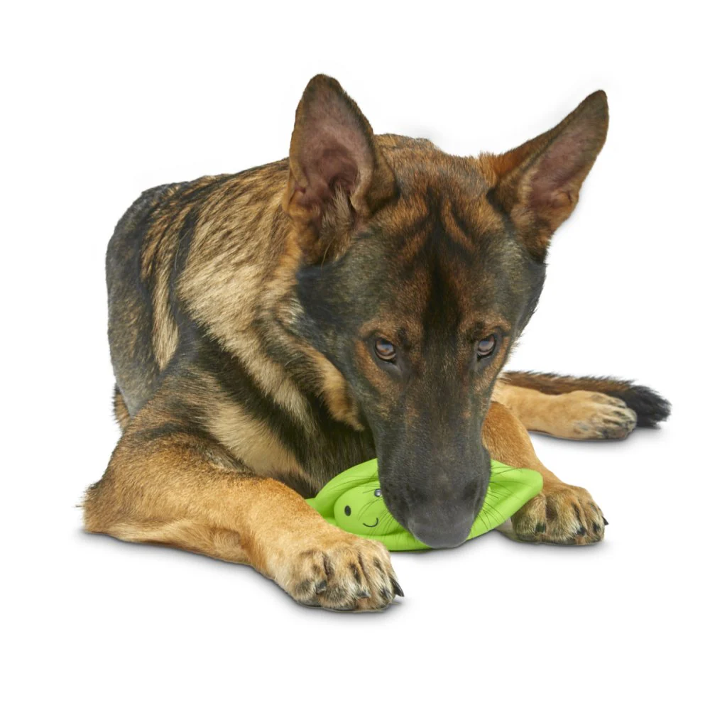 Foodie Faces Latex Peapod Dog Toy - Image 3