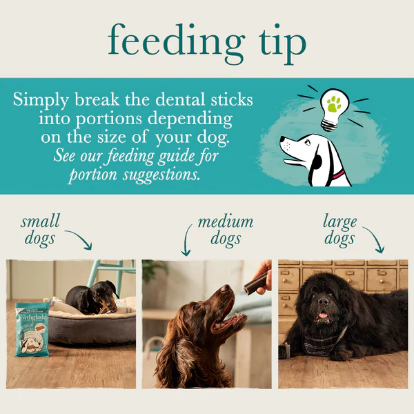 Forthglade Dental Sticks - Image 6