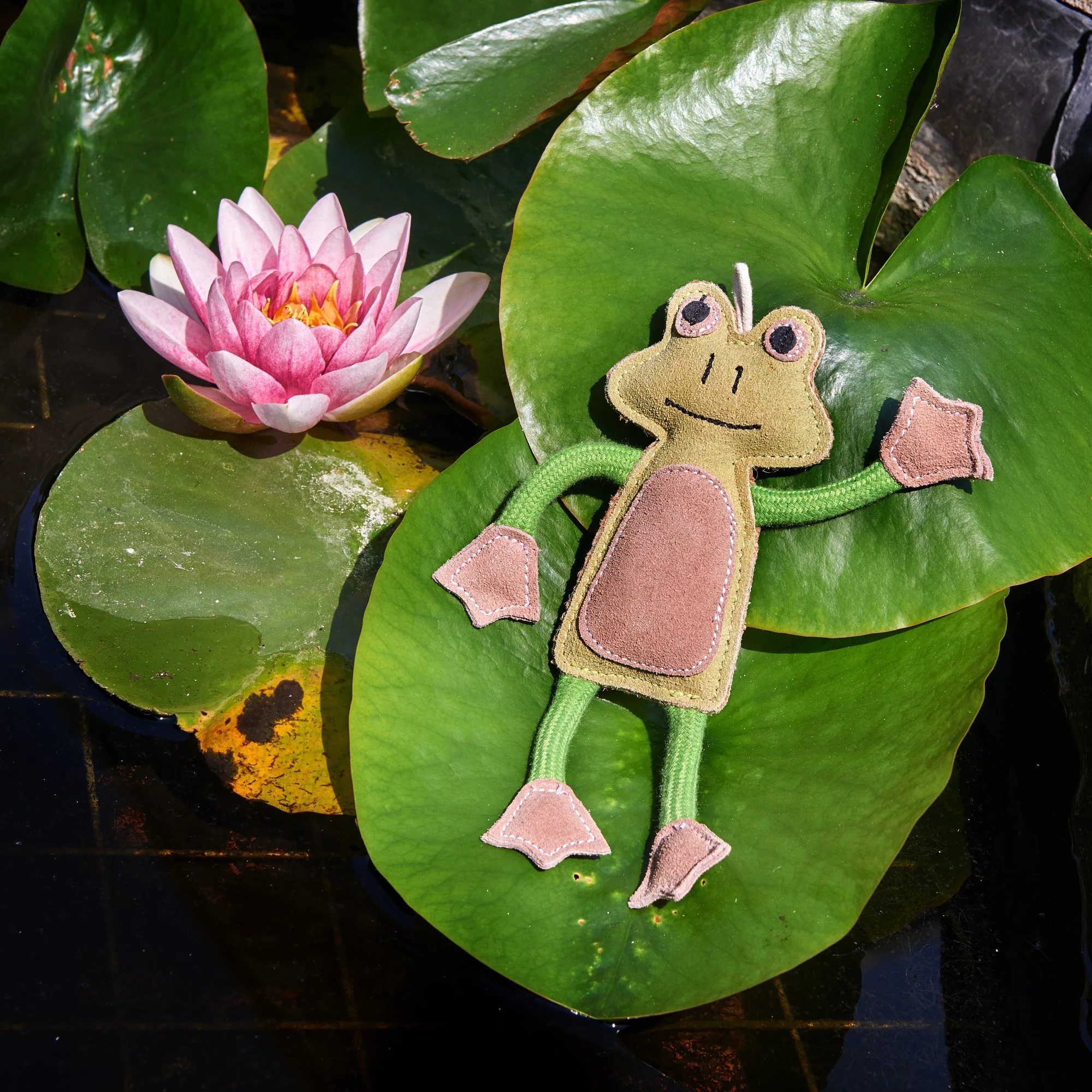 Green & Wilds Eco Toy Francois Le Frog - Image 2