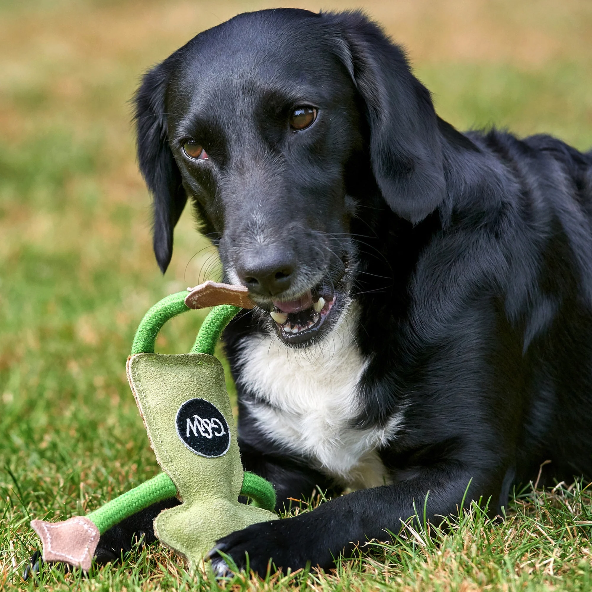 Green & Wilds Eco Toy Francois Le Frog - Image 6