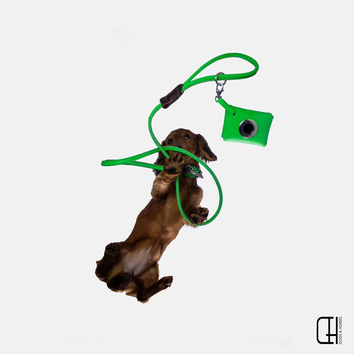 D&H Rolled Leather Lead Green - Image 2
