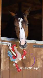 Green & Wilds Rambo Rooster Eco Dog & Horse Toy - Image 3