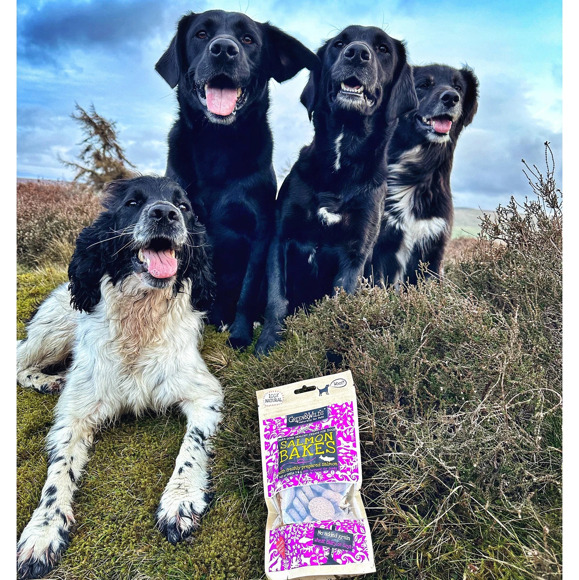 Green & Wilds Salmon Bakes Dog Treats - Image 3