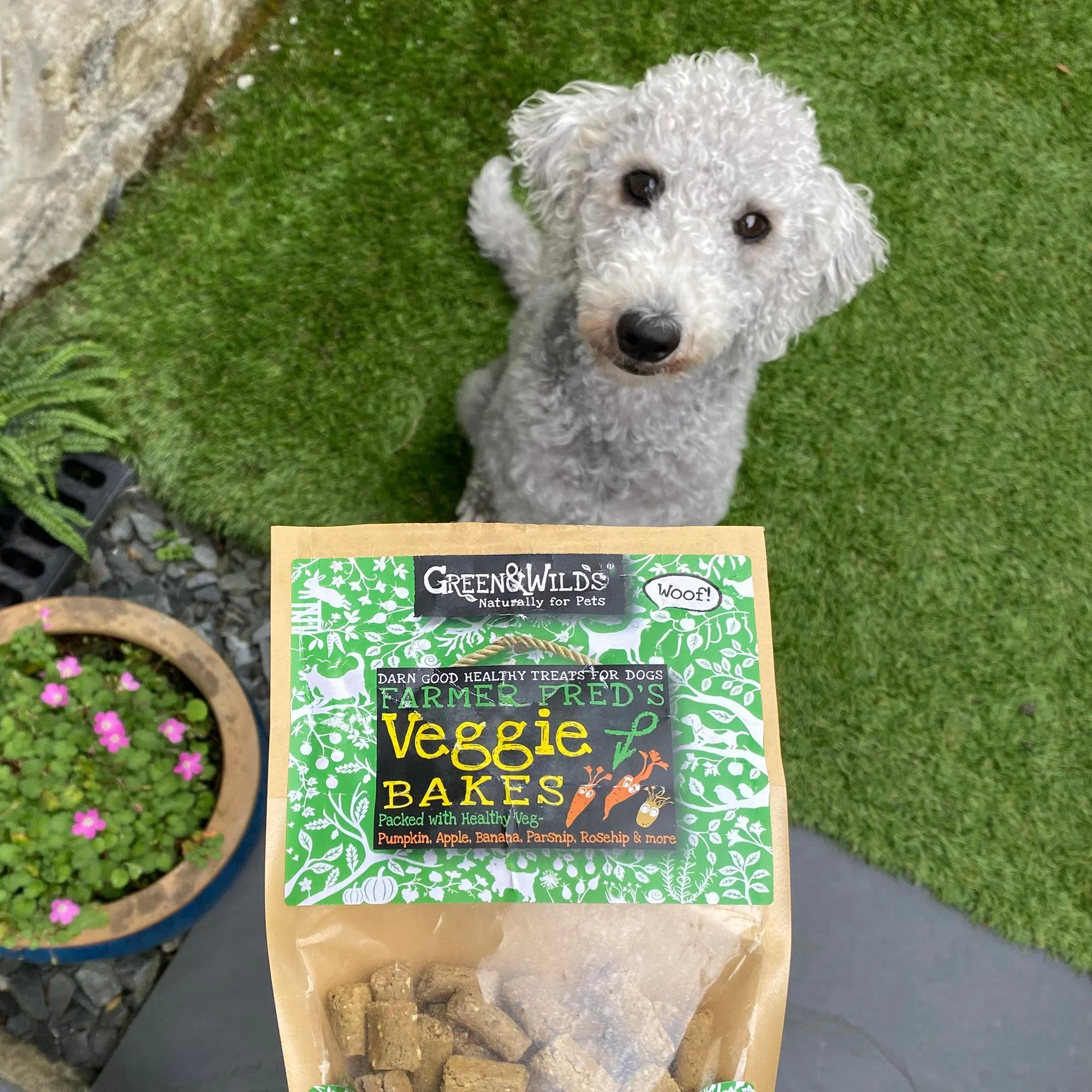 Green & Wilds Veggie Bakes - Image 2