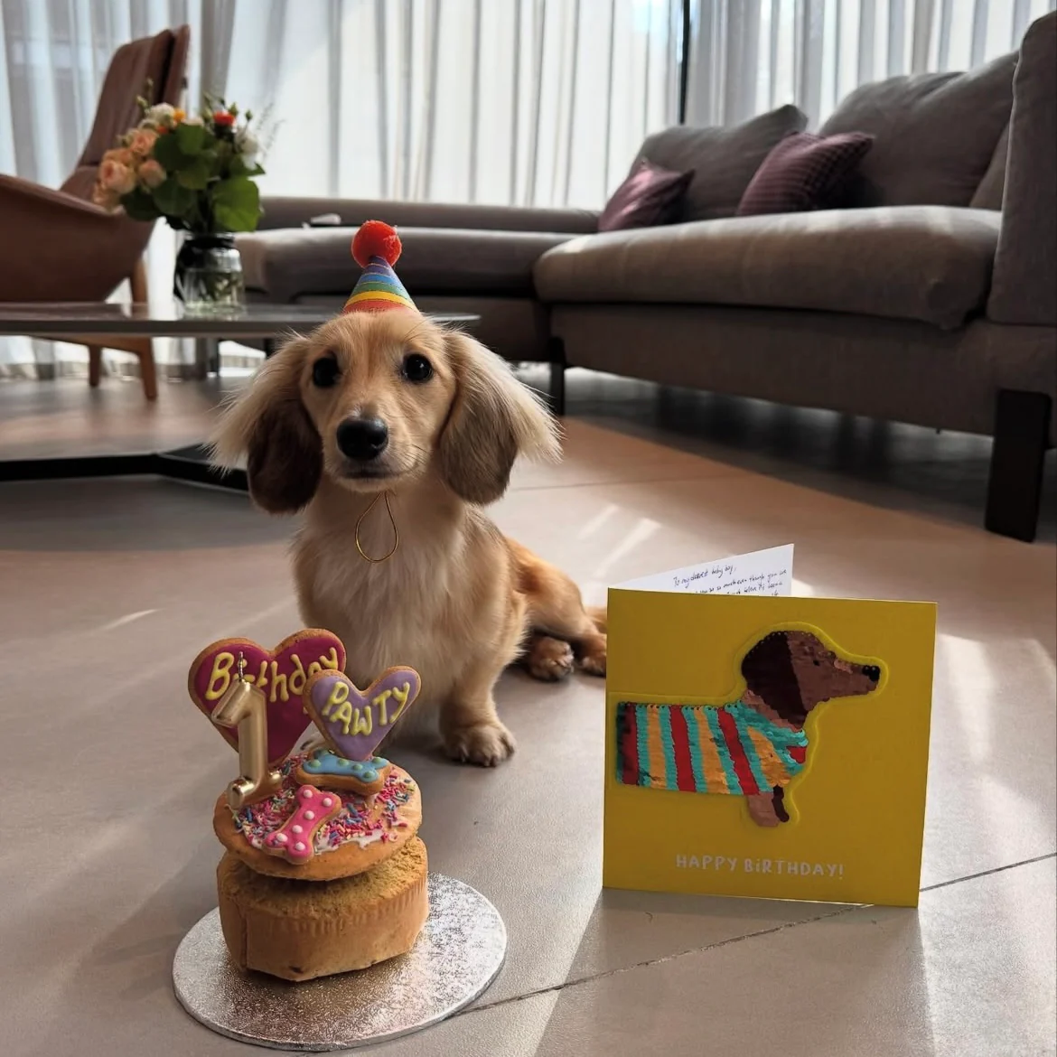 Handmade Party Cakes for Dogs - Image 2
