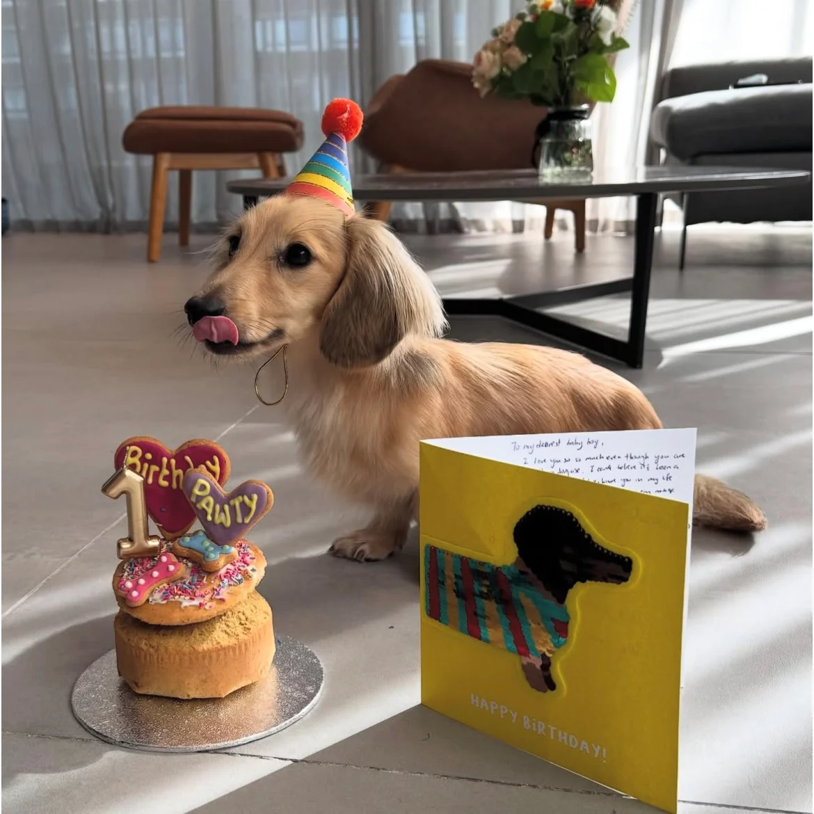 Handmade Party Cakes for Dogs - Image 3