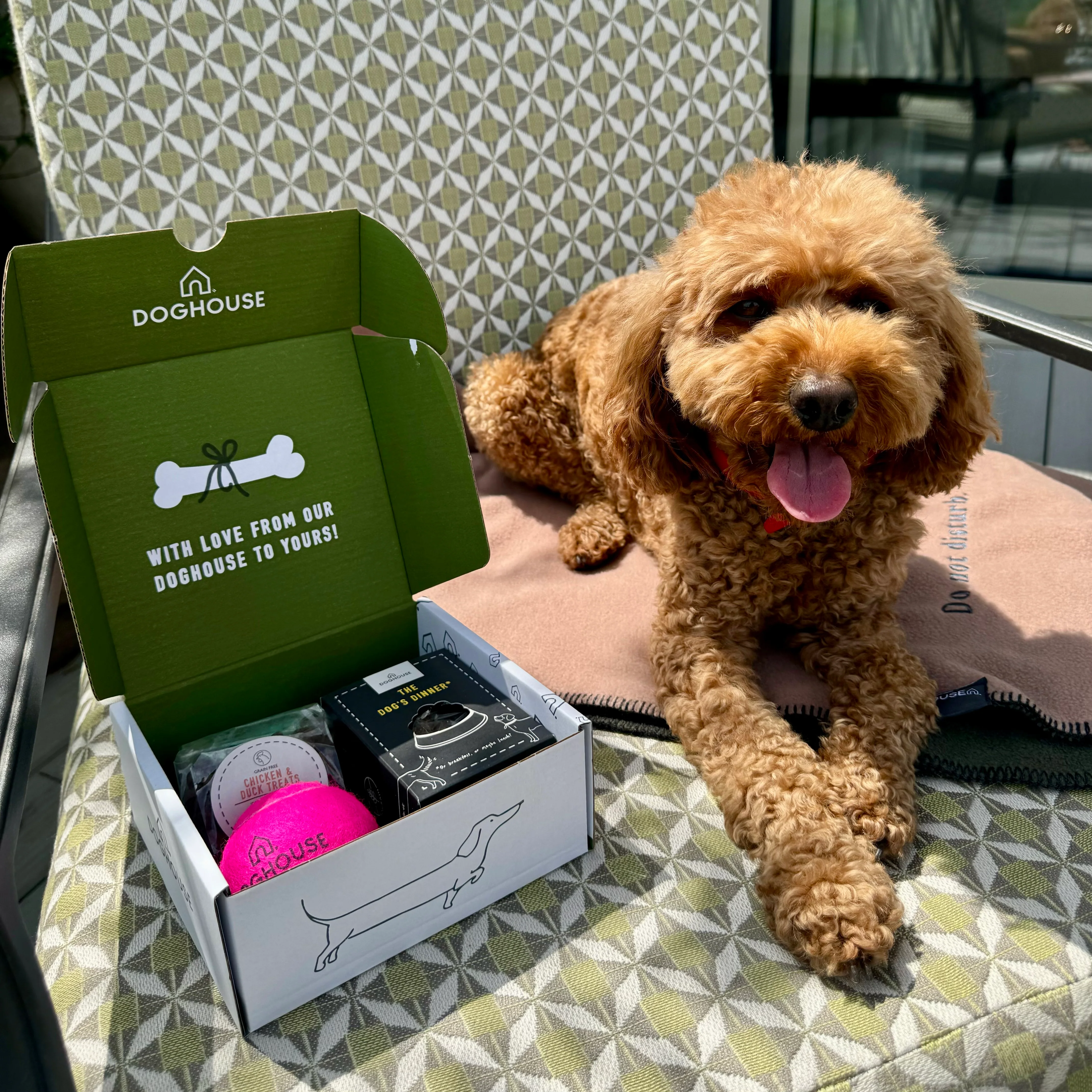 Hotel Starter Pack for Dog Friendly Hotels - Image 6