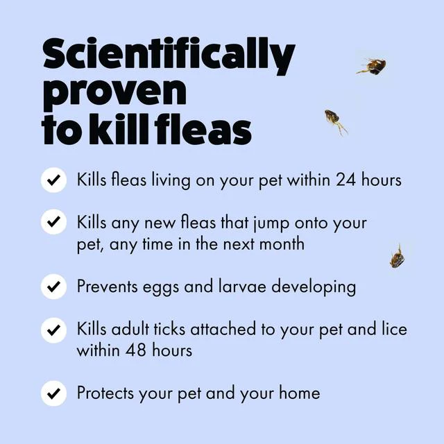 Itch. Flea Spot On Treatment for Dogs & Cats - Image 4