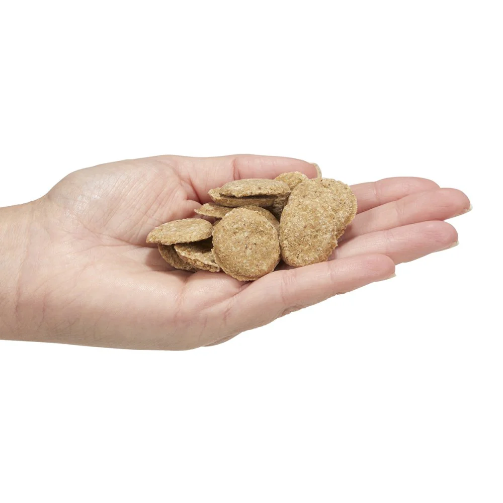 Lamb and Rubbed Mint Coins - Image 2