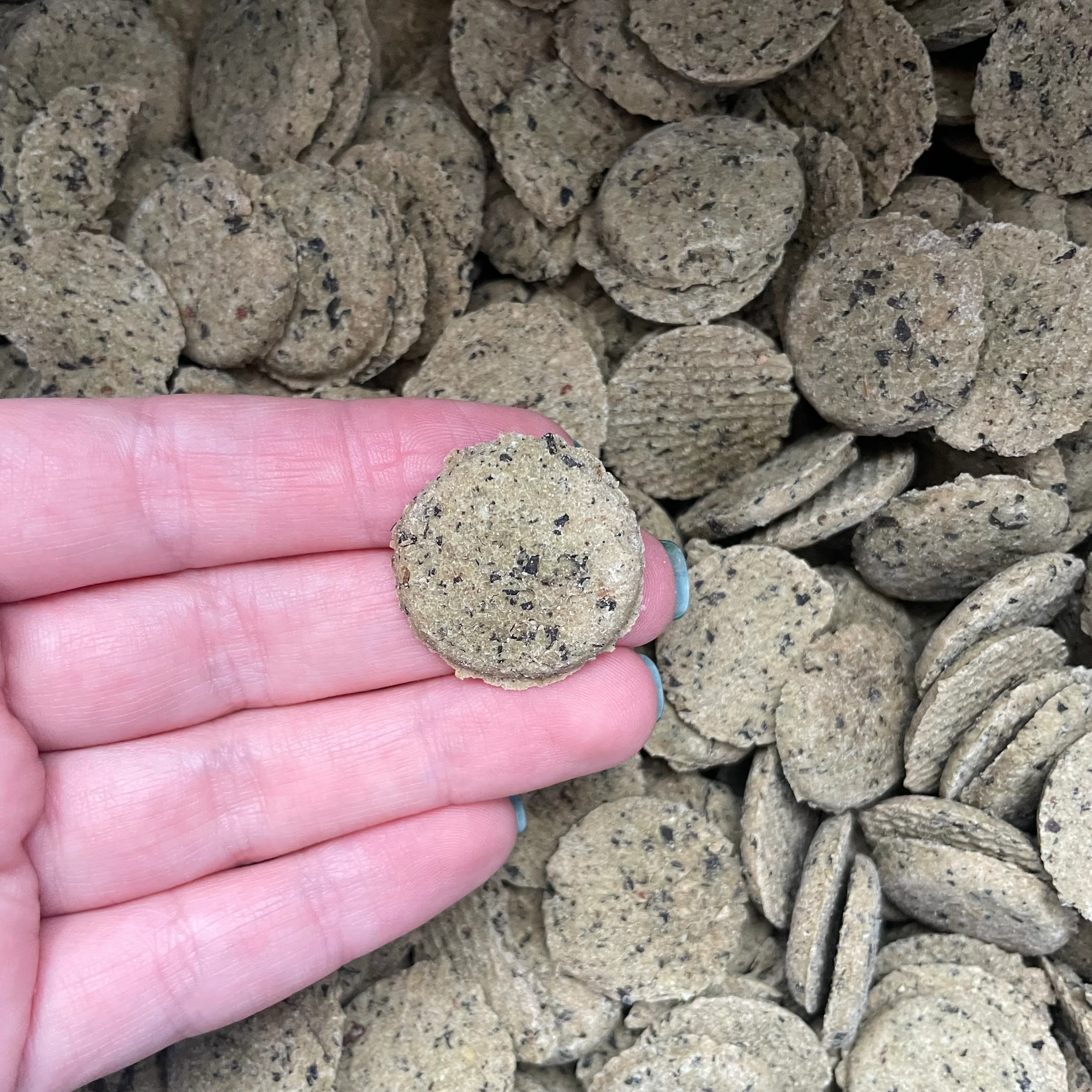 Lamb and Rubbed Mint Coins - Image 3